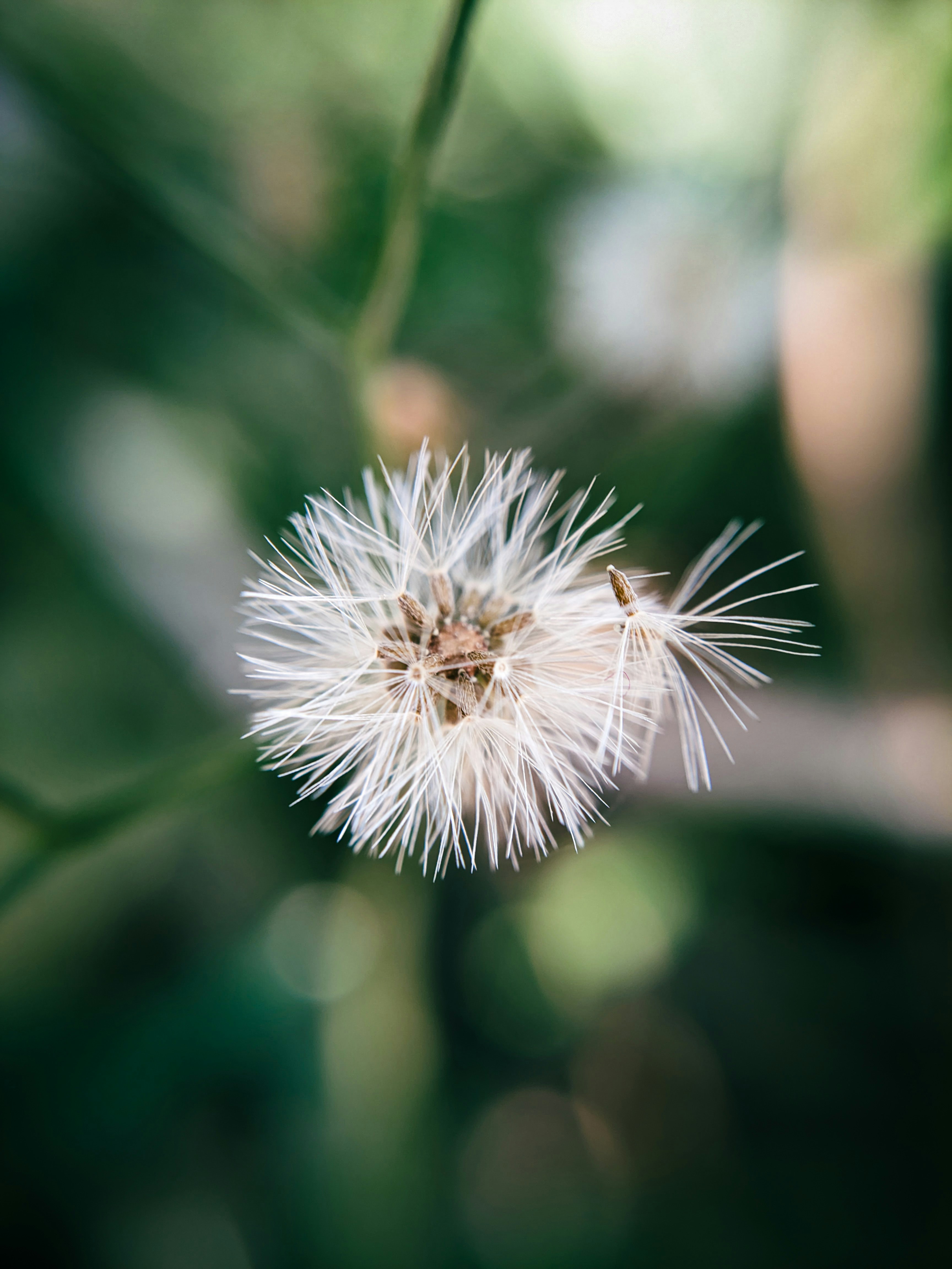 Photo by sujaypaulsp