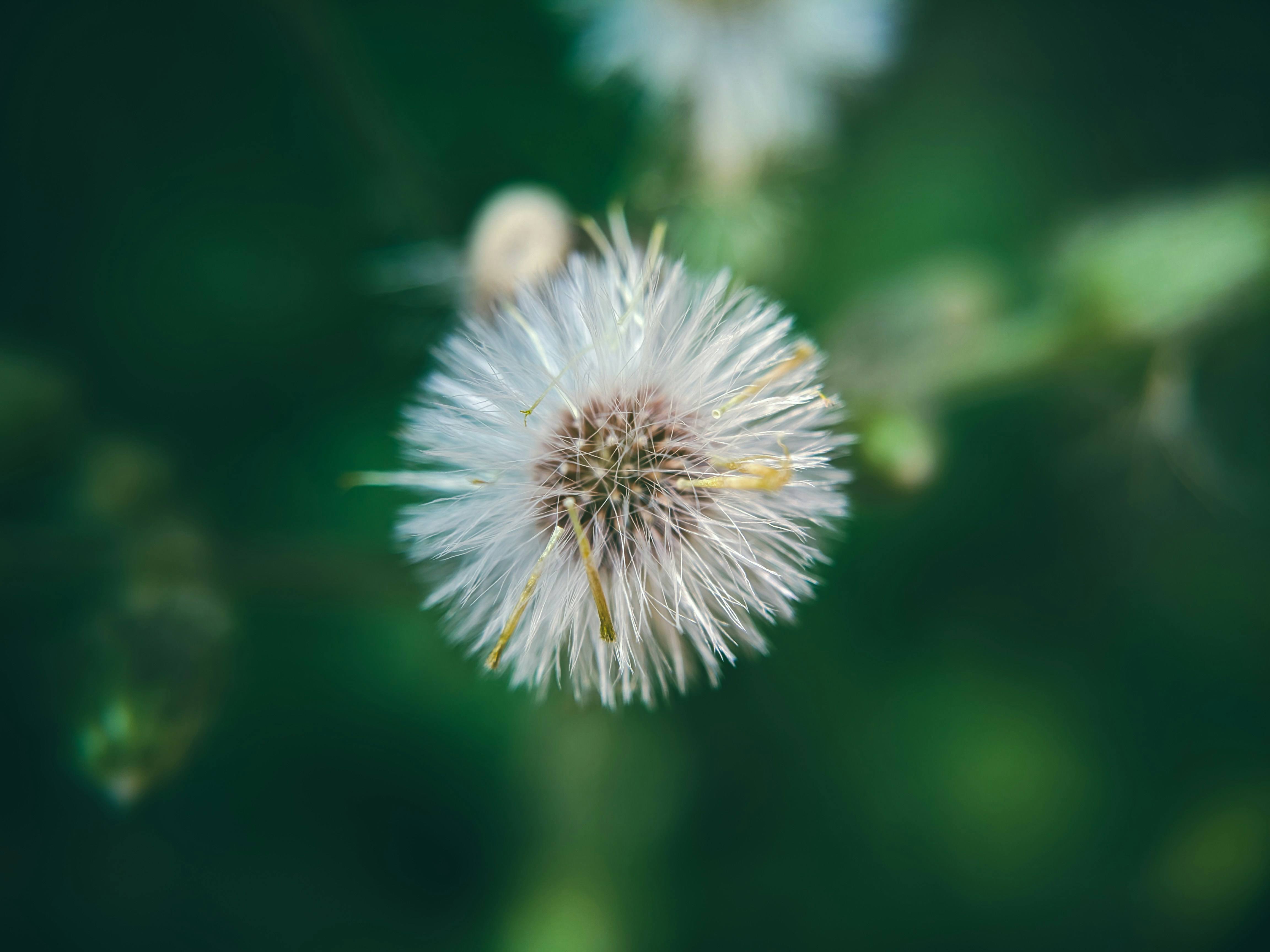 Photo by sujaypaulsp