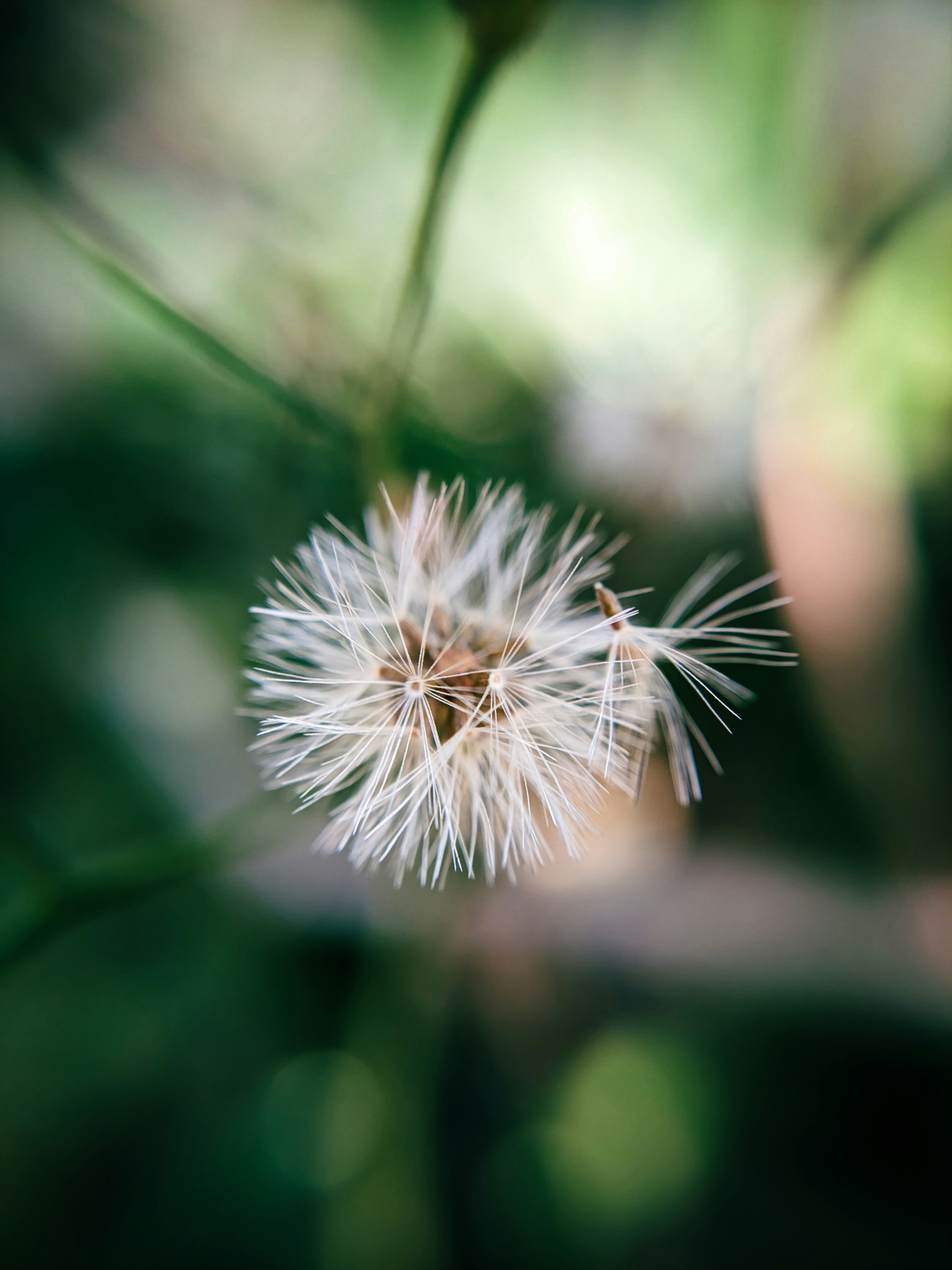 Photo by sujaypaulsp