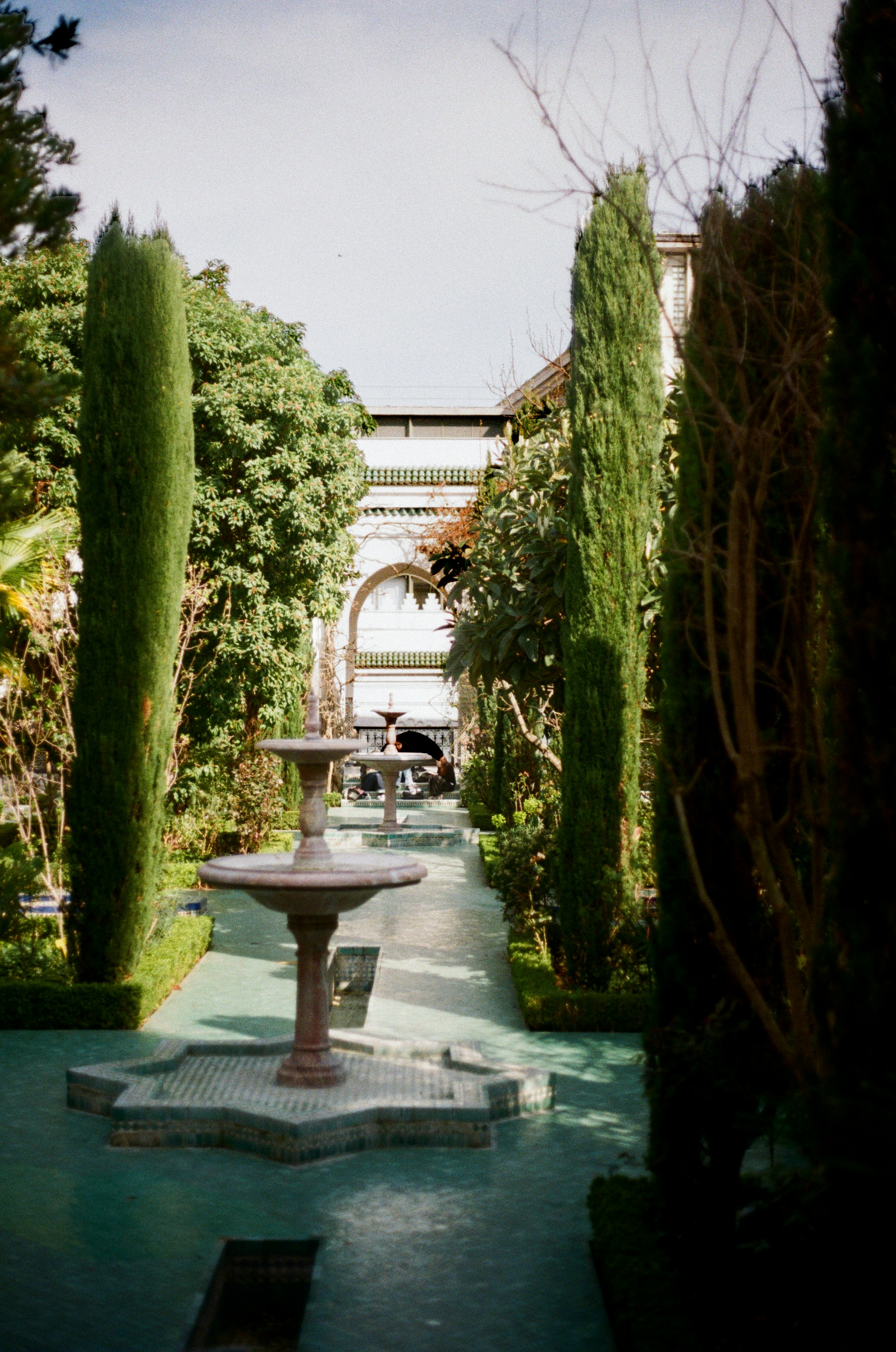 Photo by babikacharava