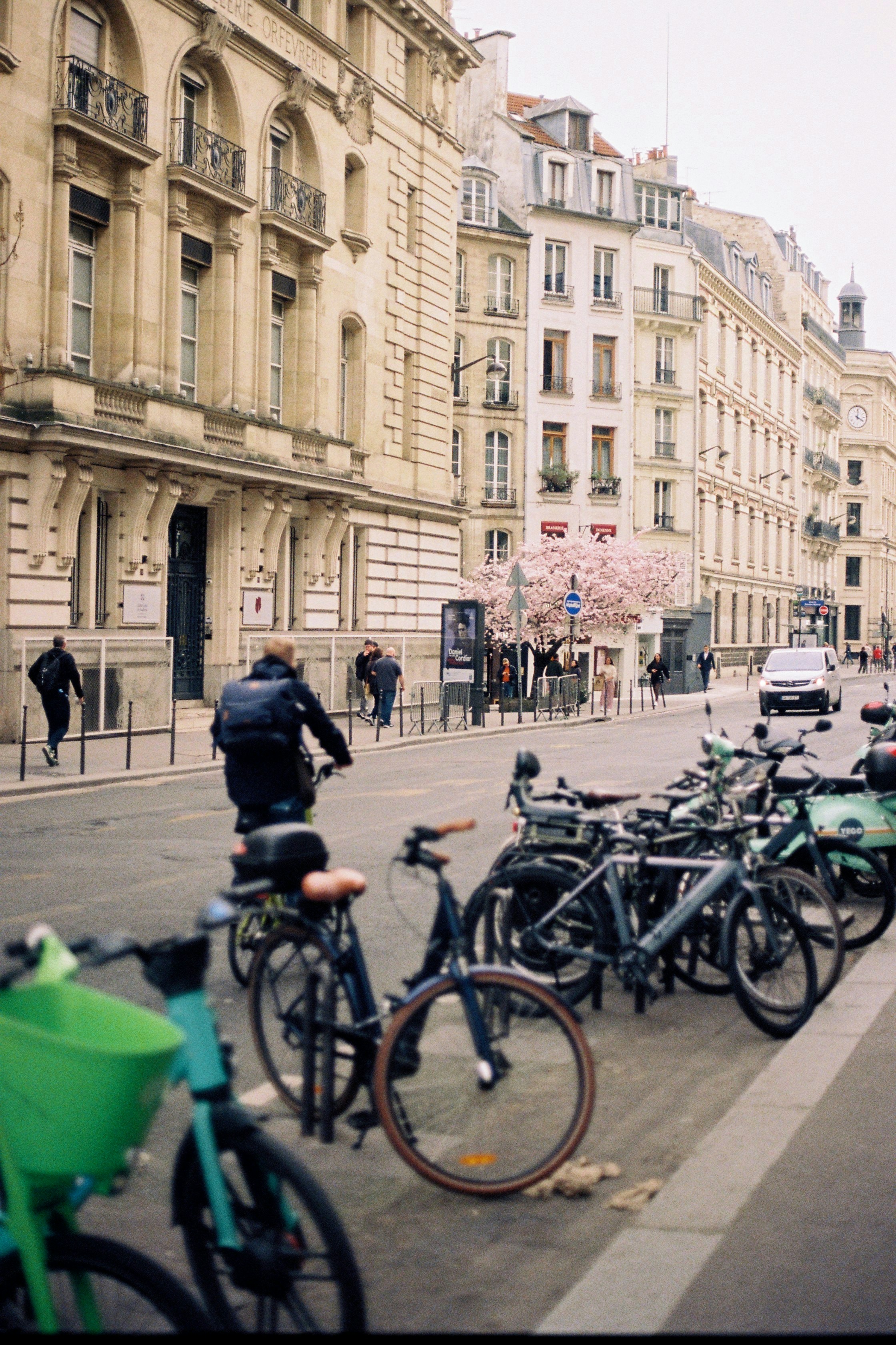 Photo by babikacharava