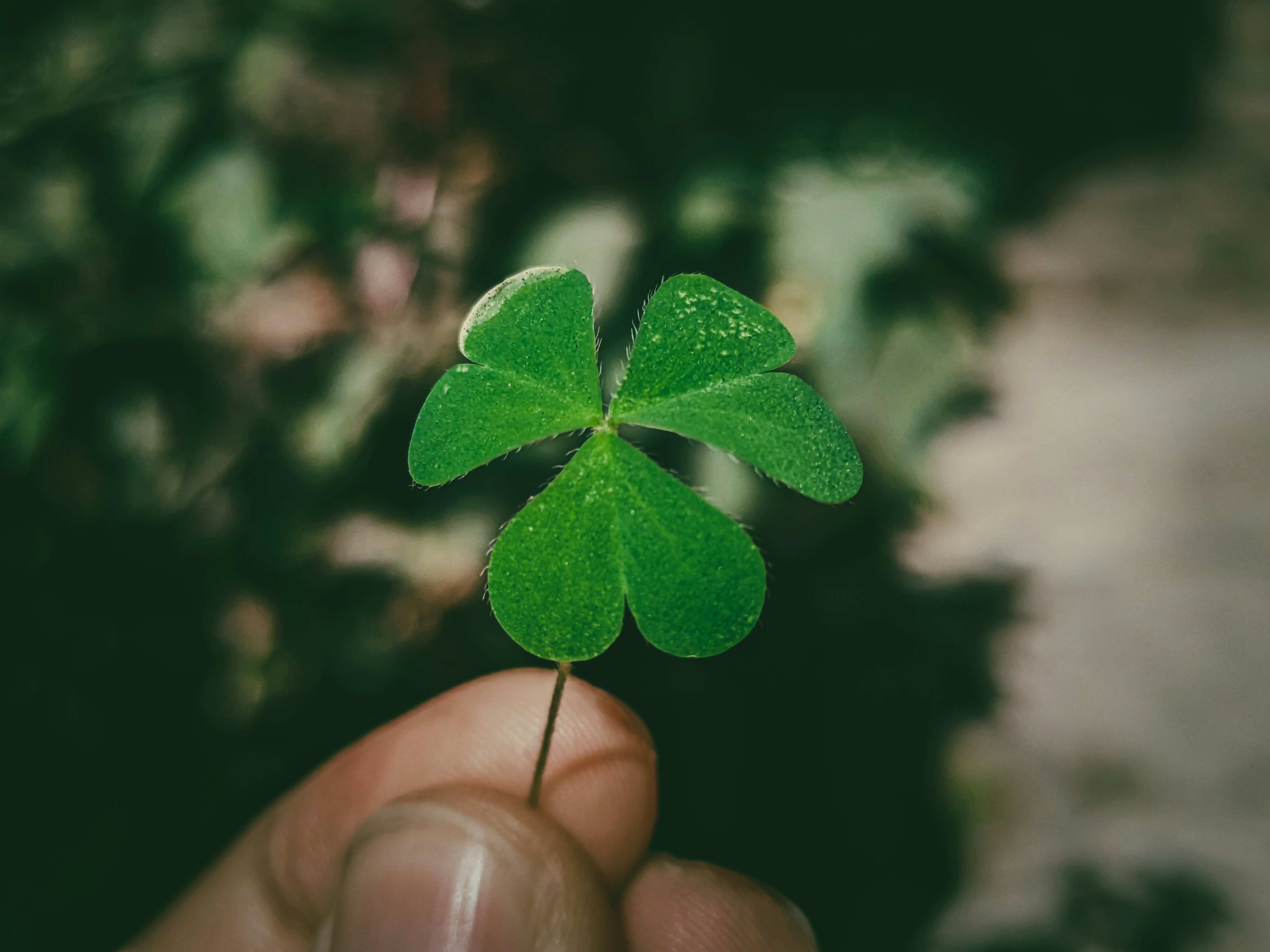 Photo by sujaypaulsp