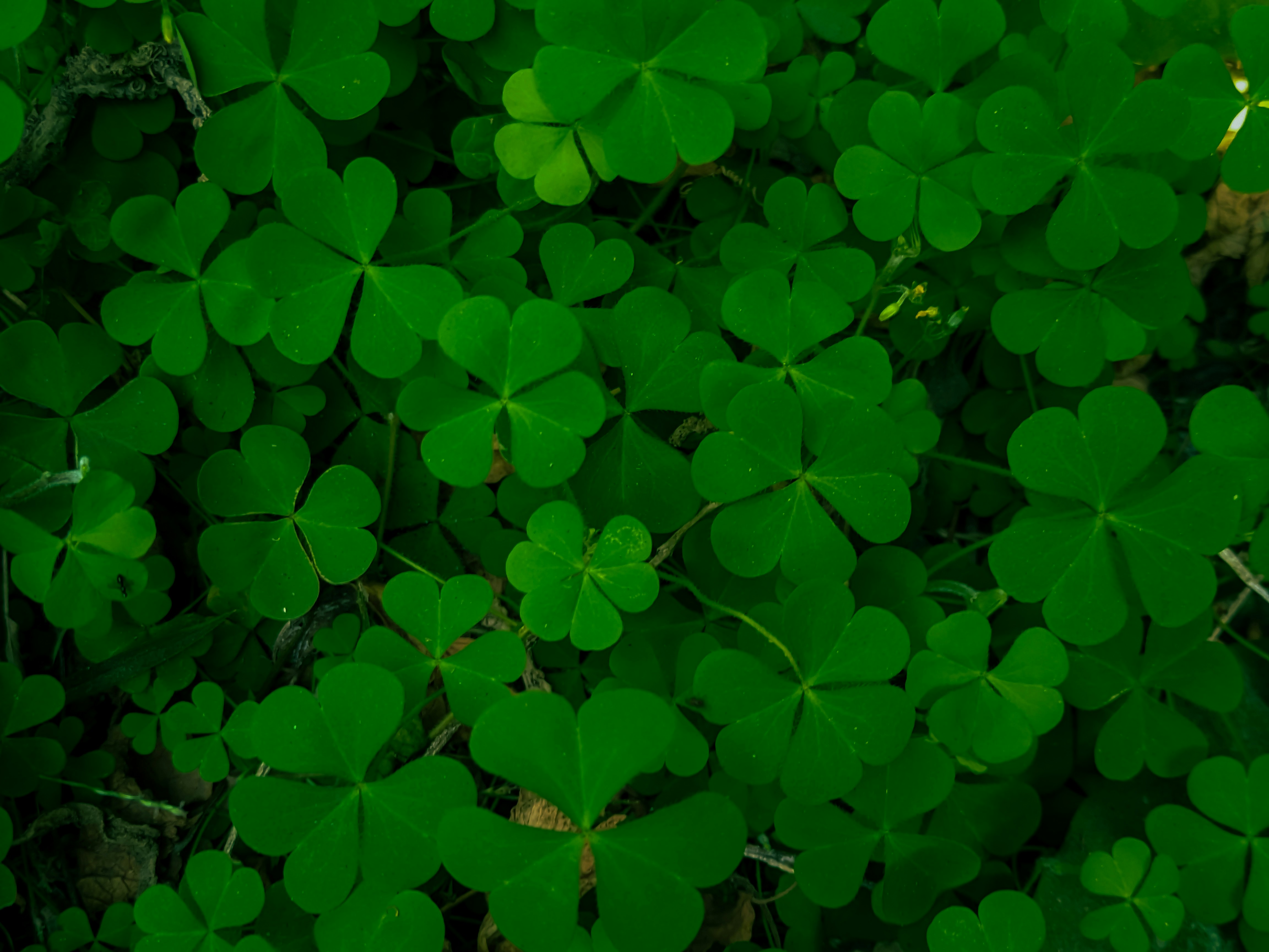 Photo by sujaypaulsp