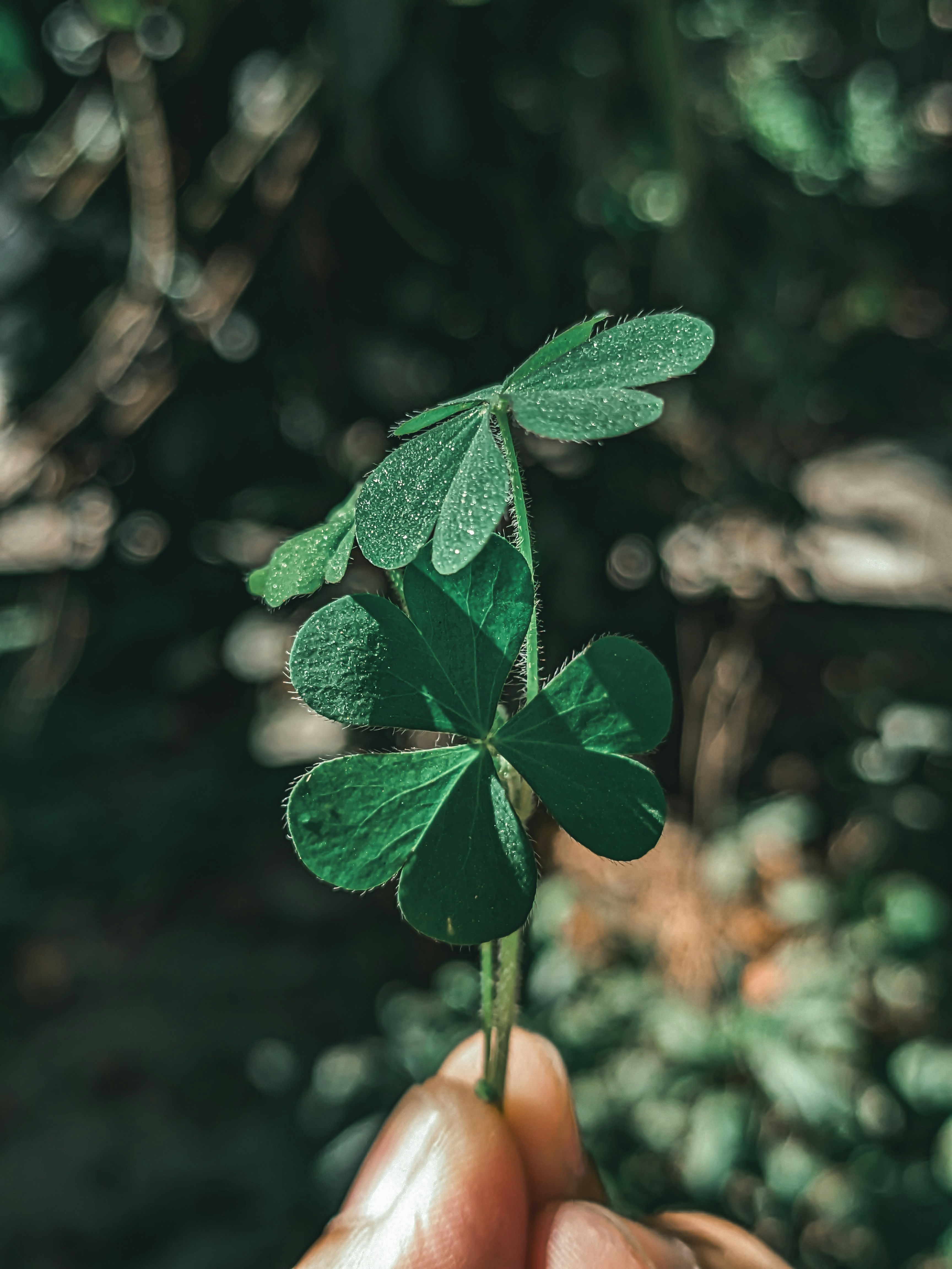 Photo by sujaypaulsp