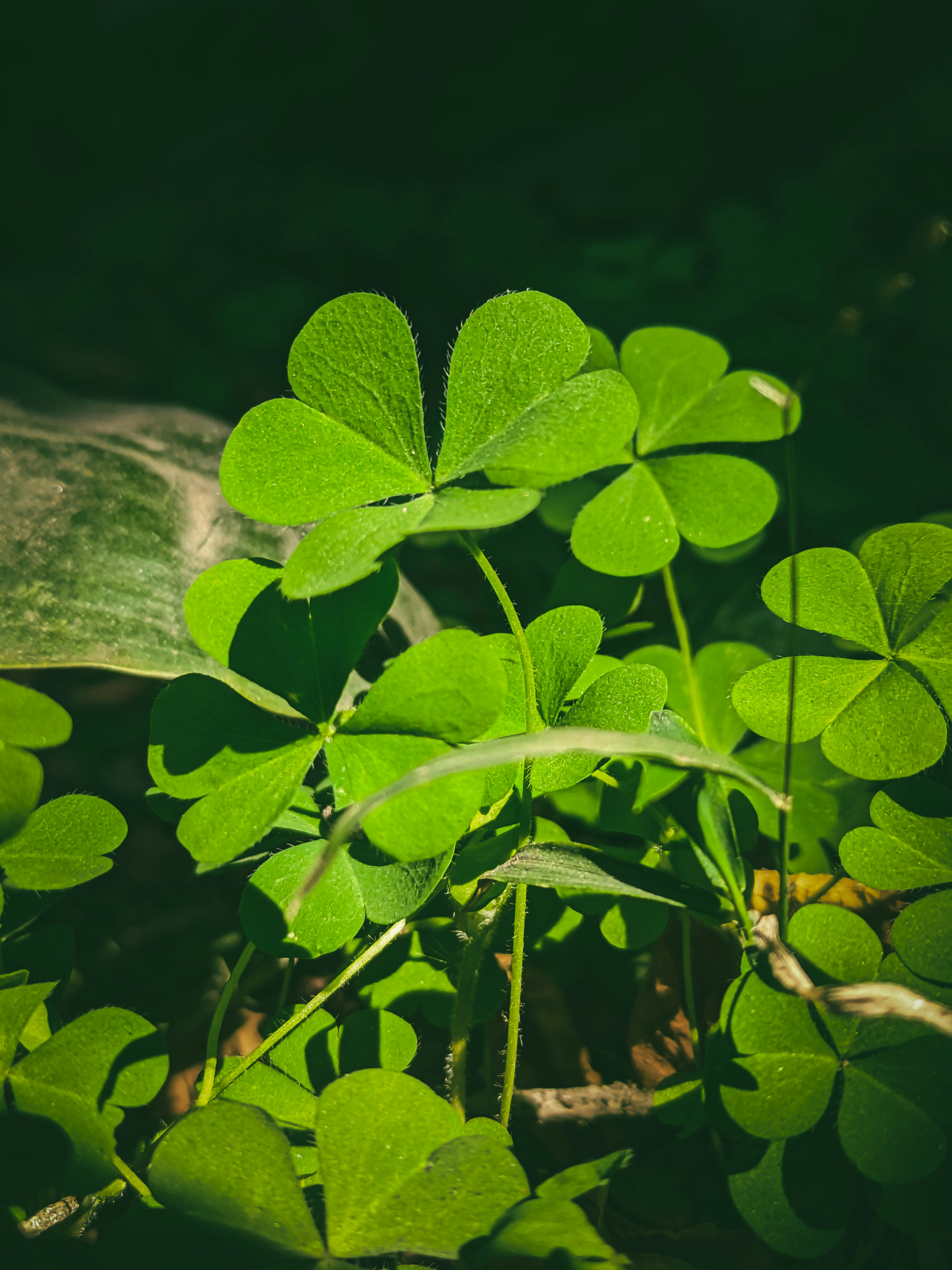 Photo by sujaypaulsp