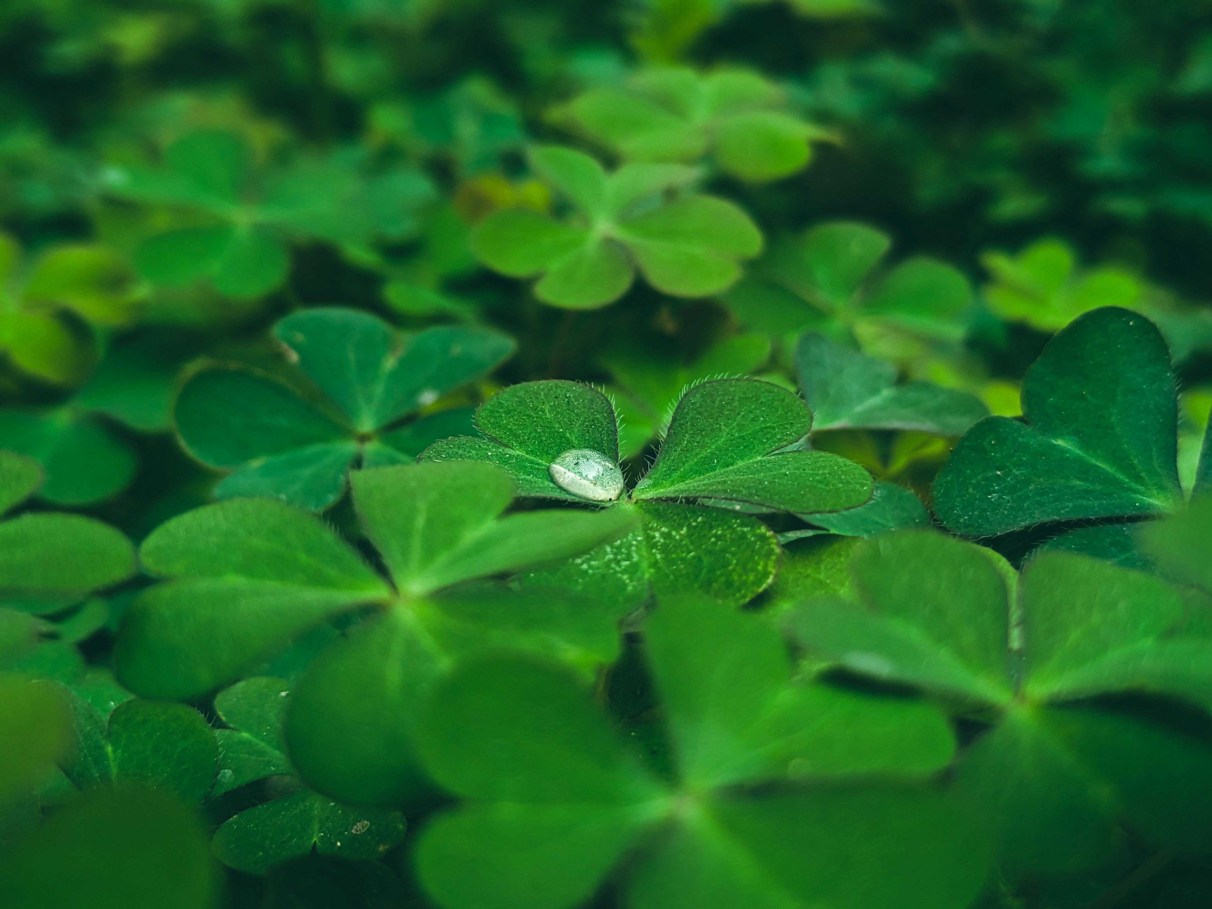 Photo by sujaypaulsp