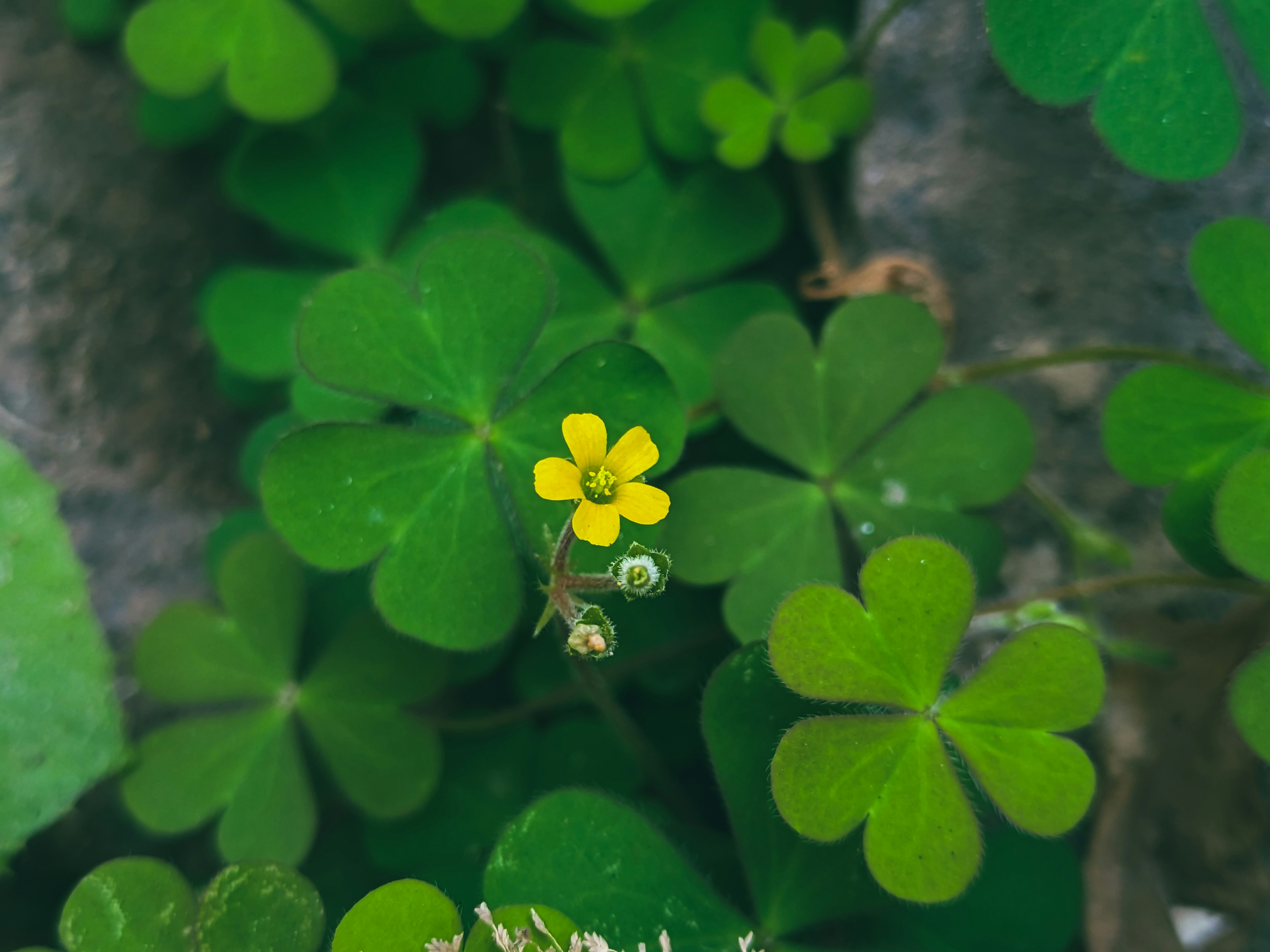 Photo by sujaypaulsp