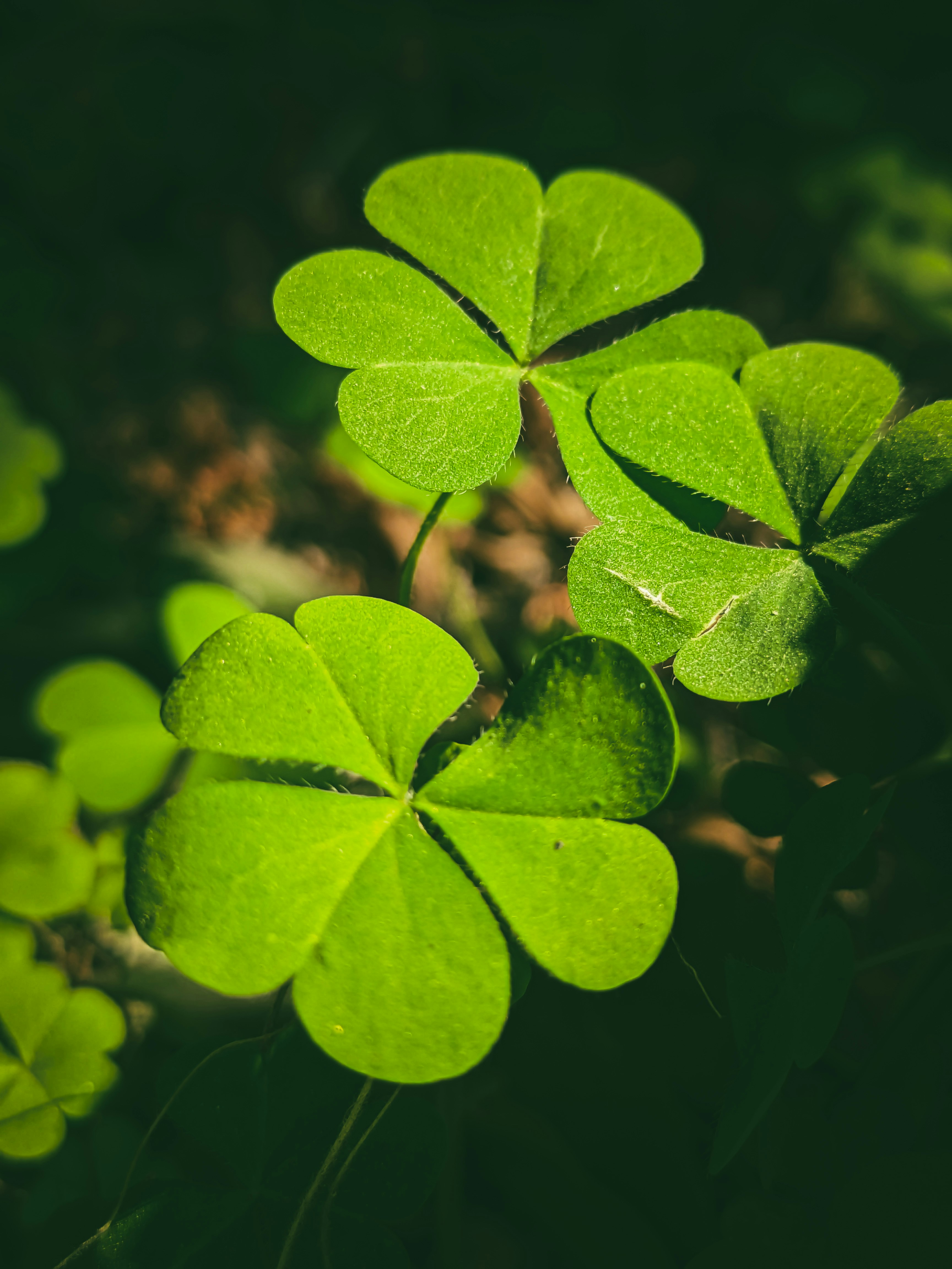 Photo by sujaypaulsp