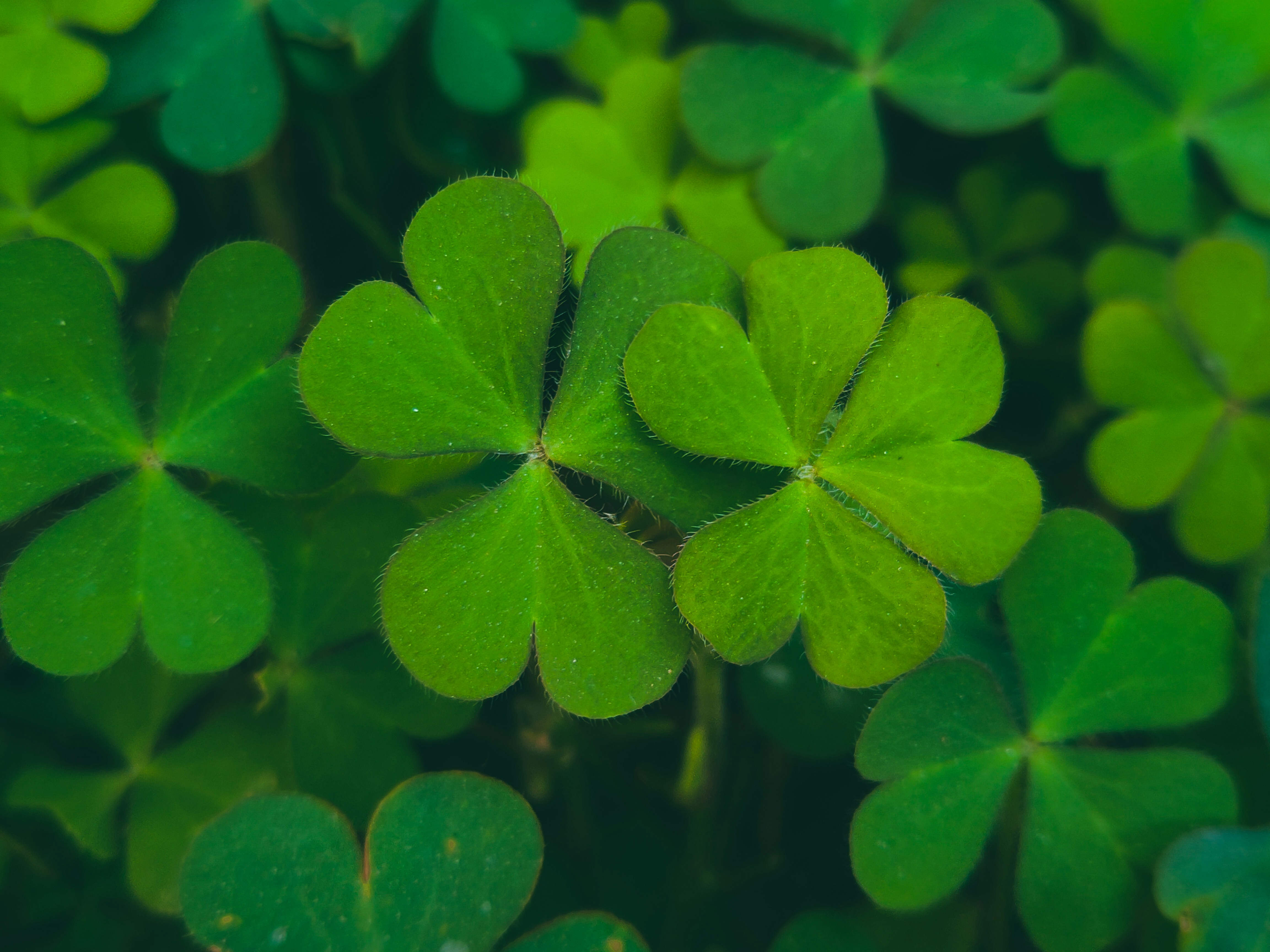 Photo by sujaypaulsp