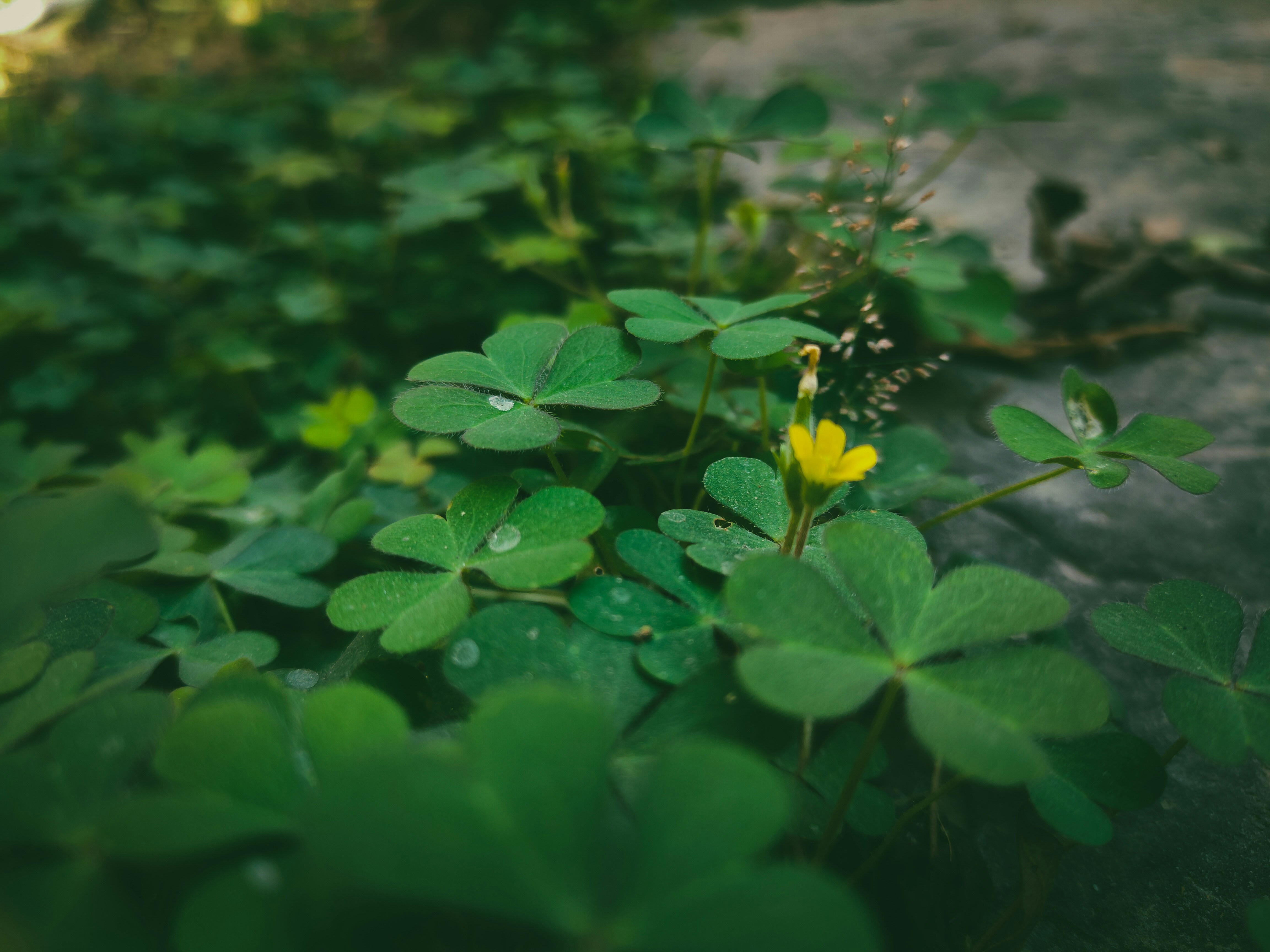 Photo by sujaypaulsp