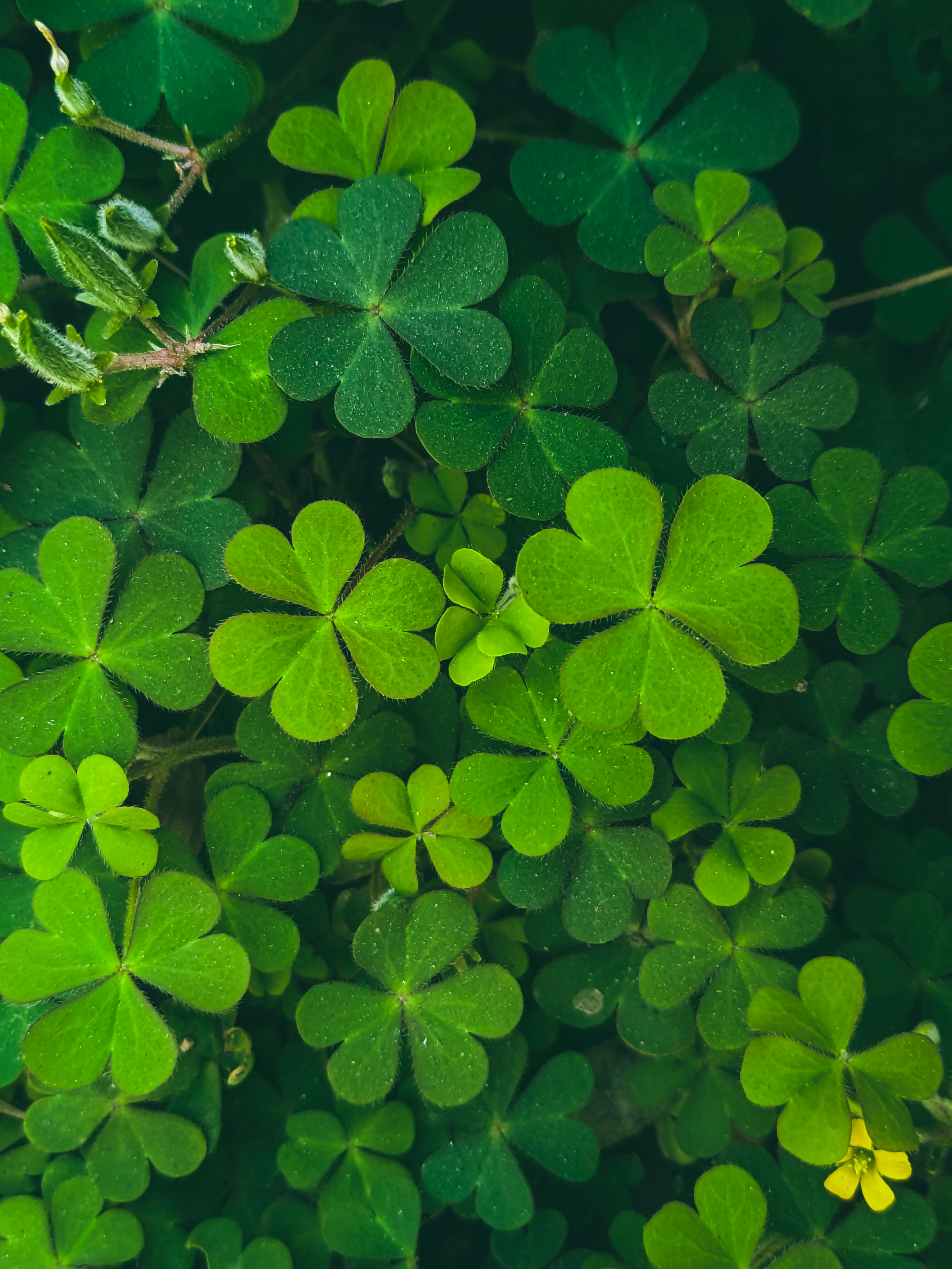 Photo by sujaypaulsp