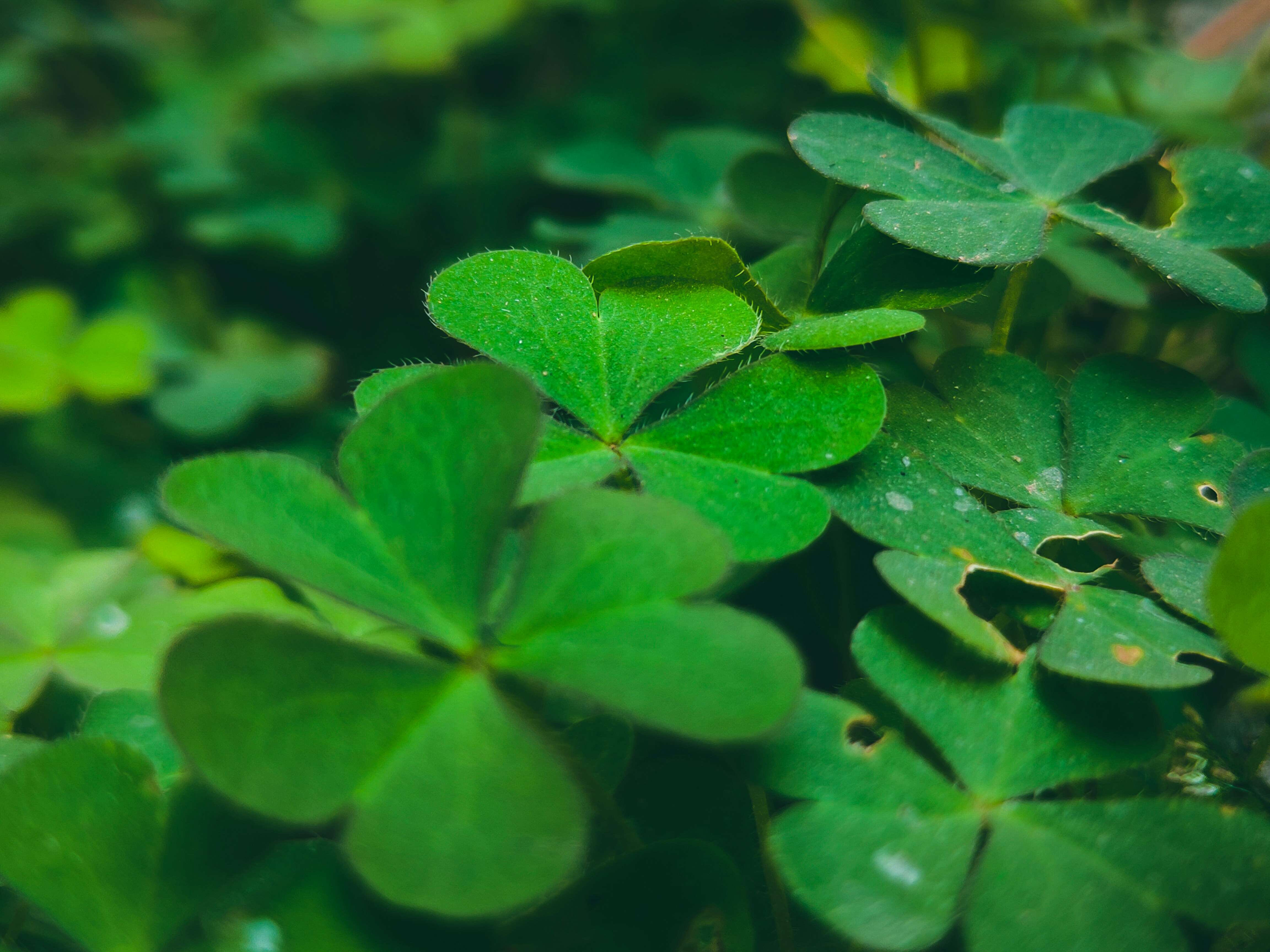 Photo by sujaypaulsp