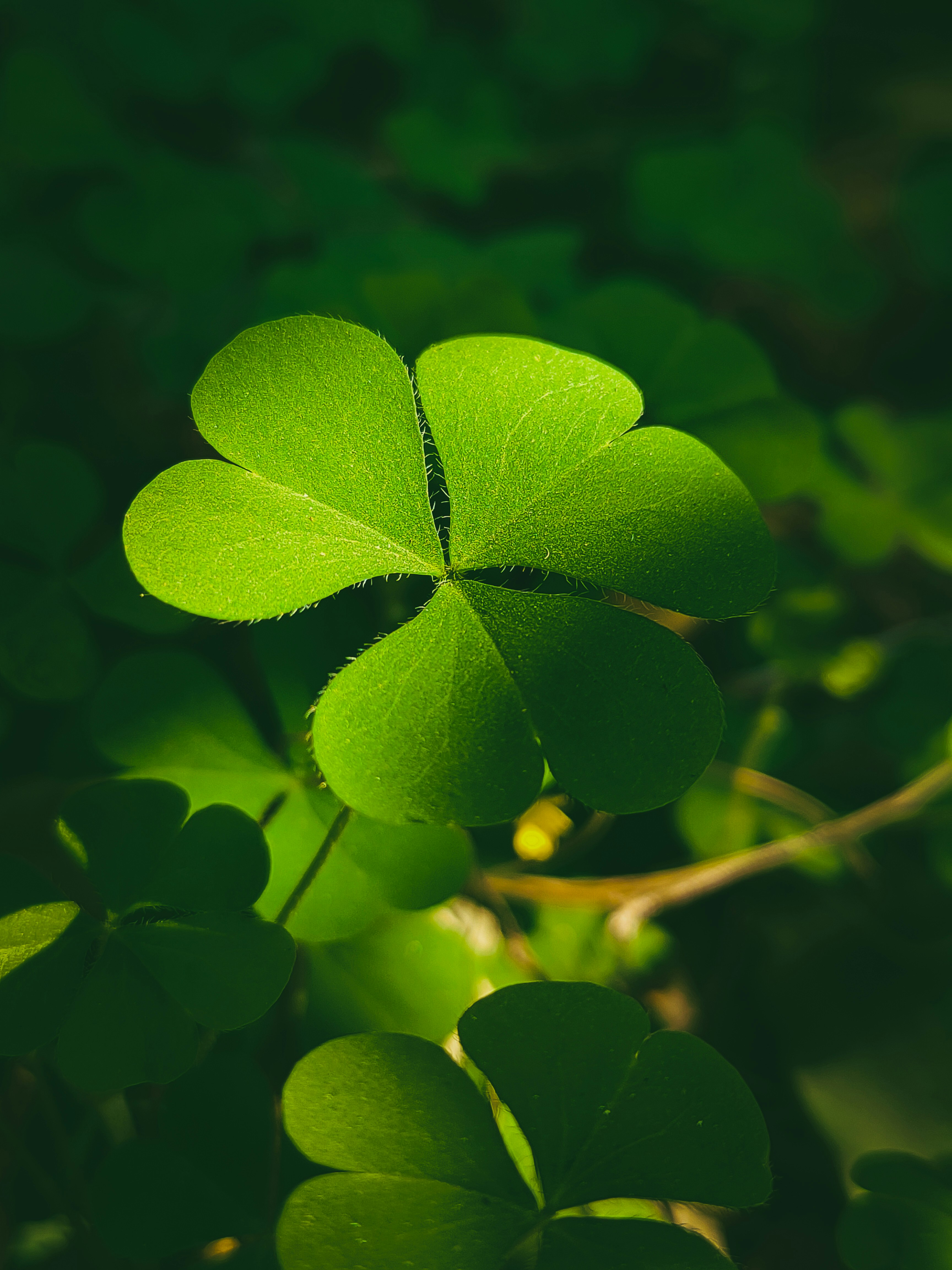 Photo by sujaypaulsp