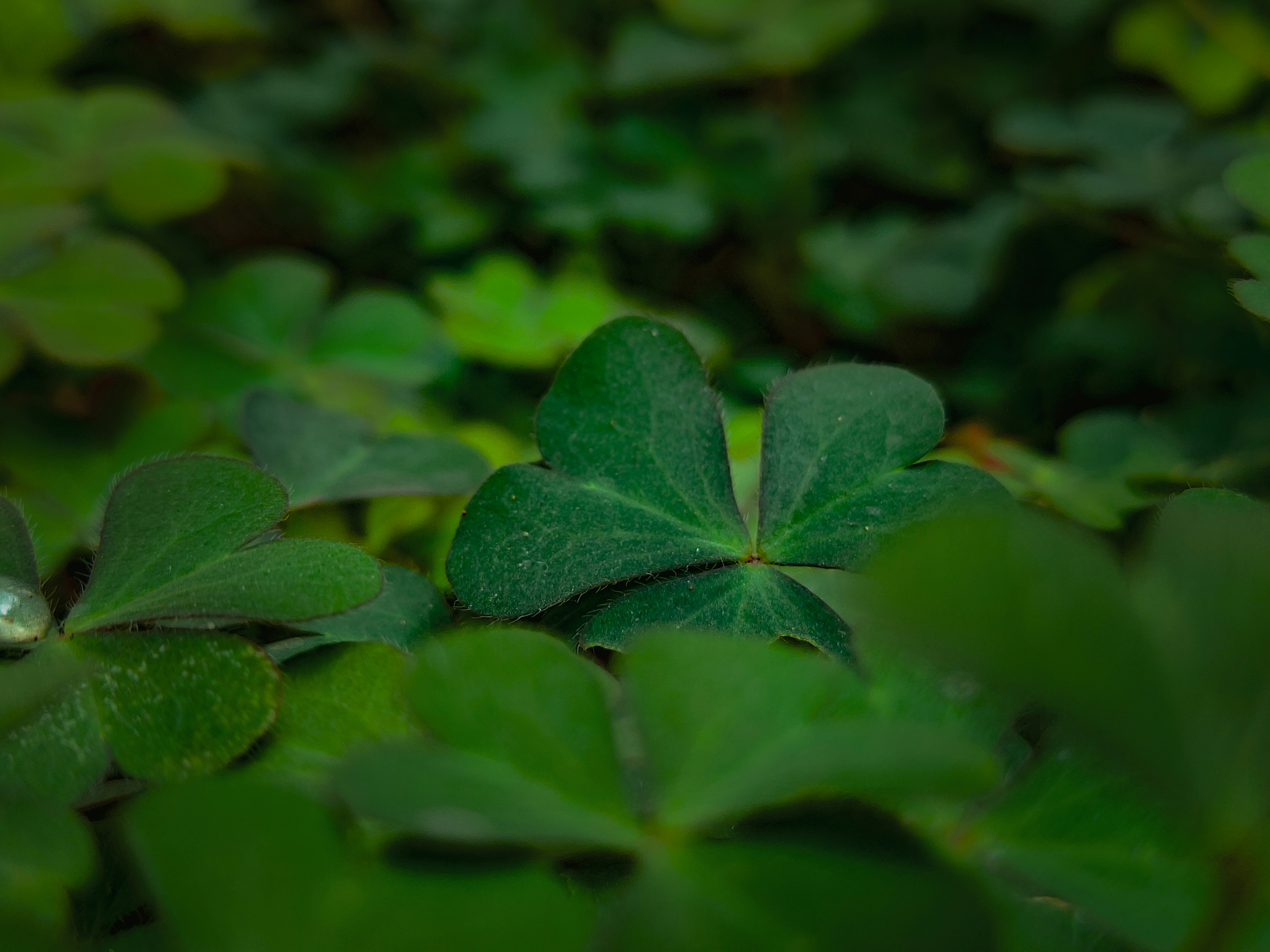 Photo by sujaypaulsp