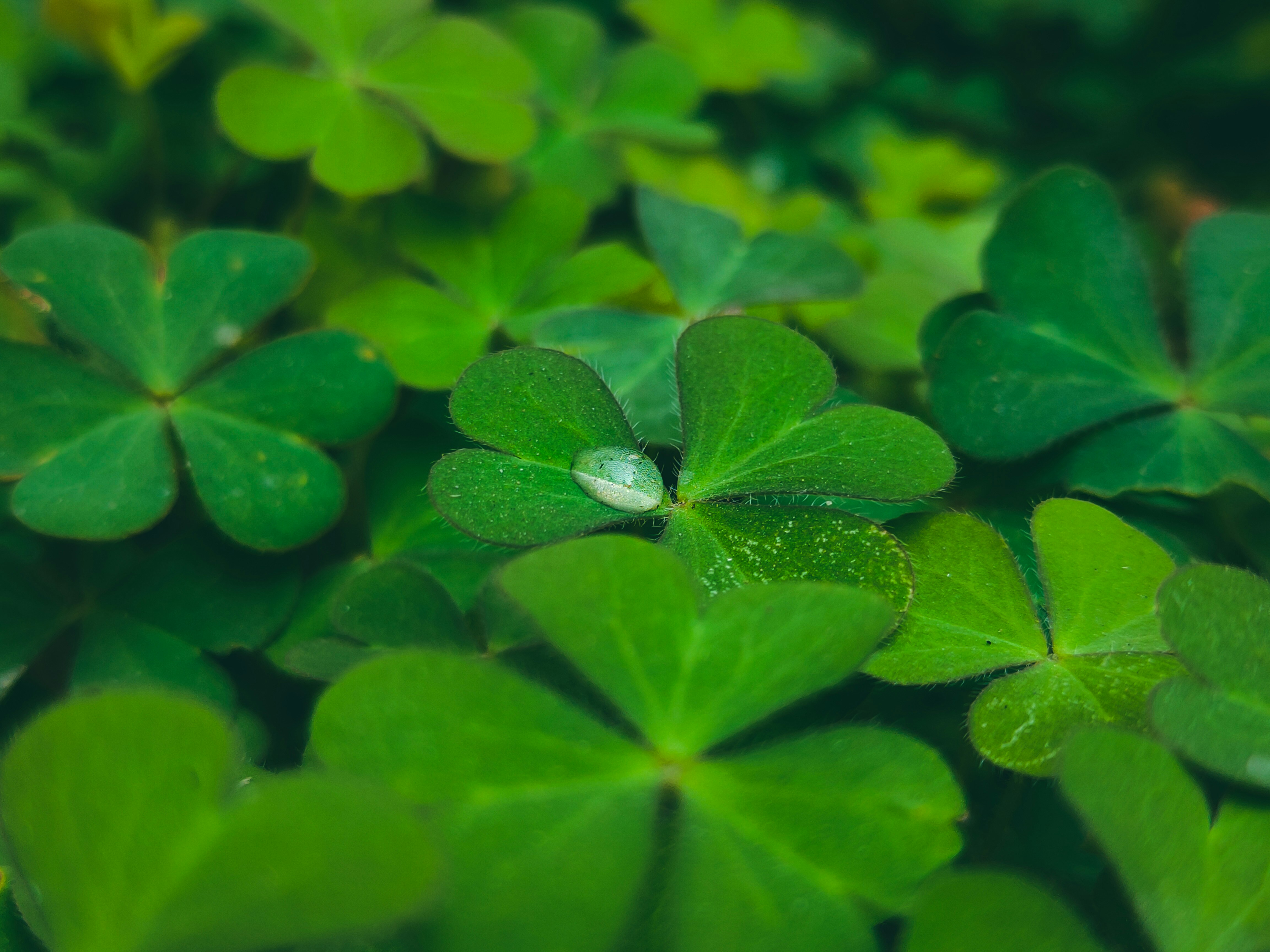 Photo by sujaypaulsp