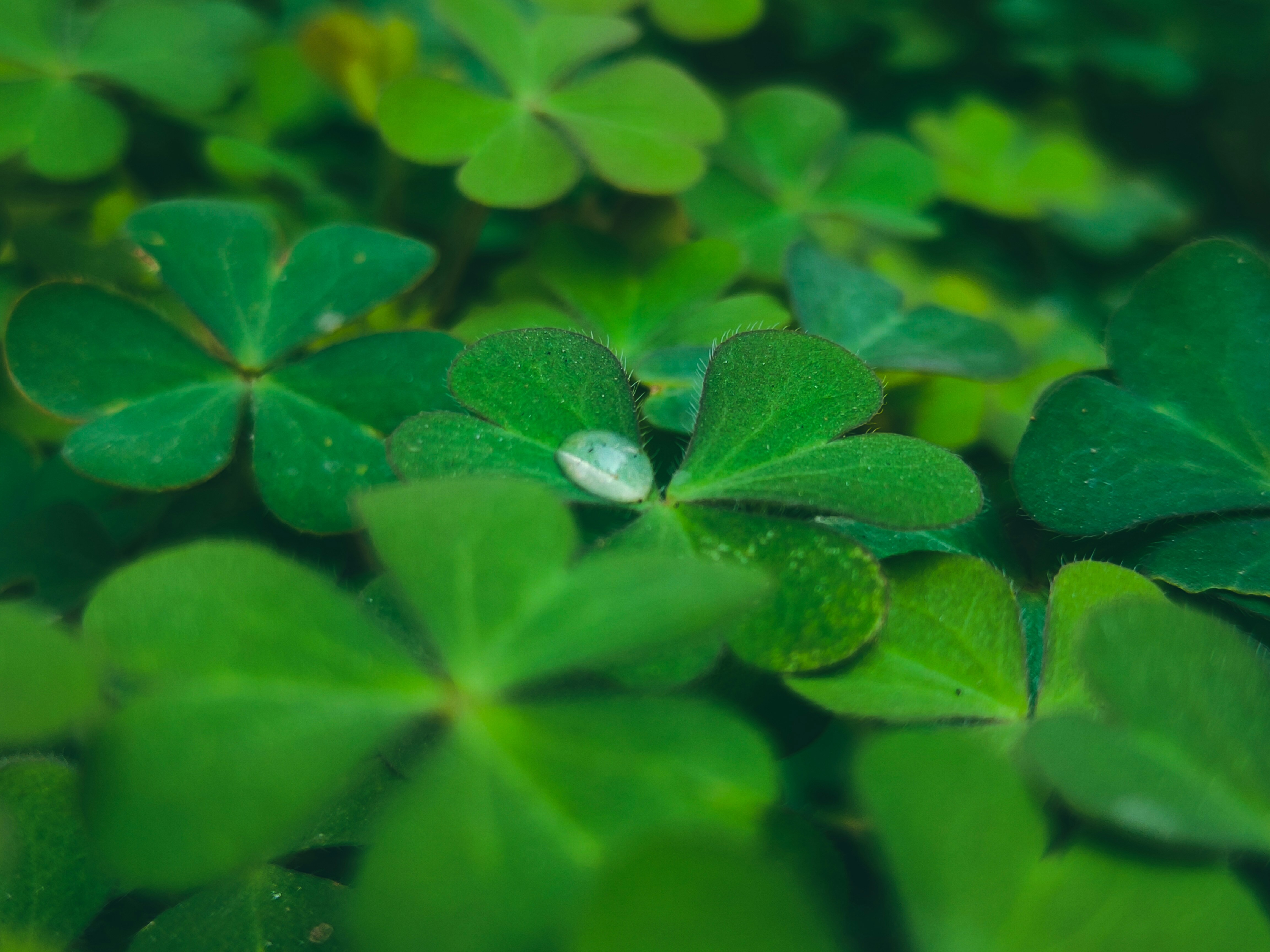 Photo by sujaypaulsp