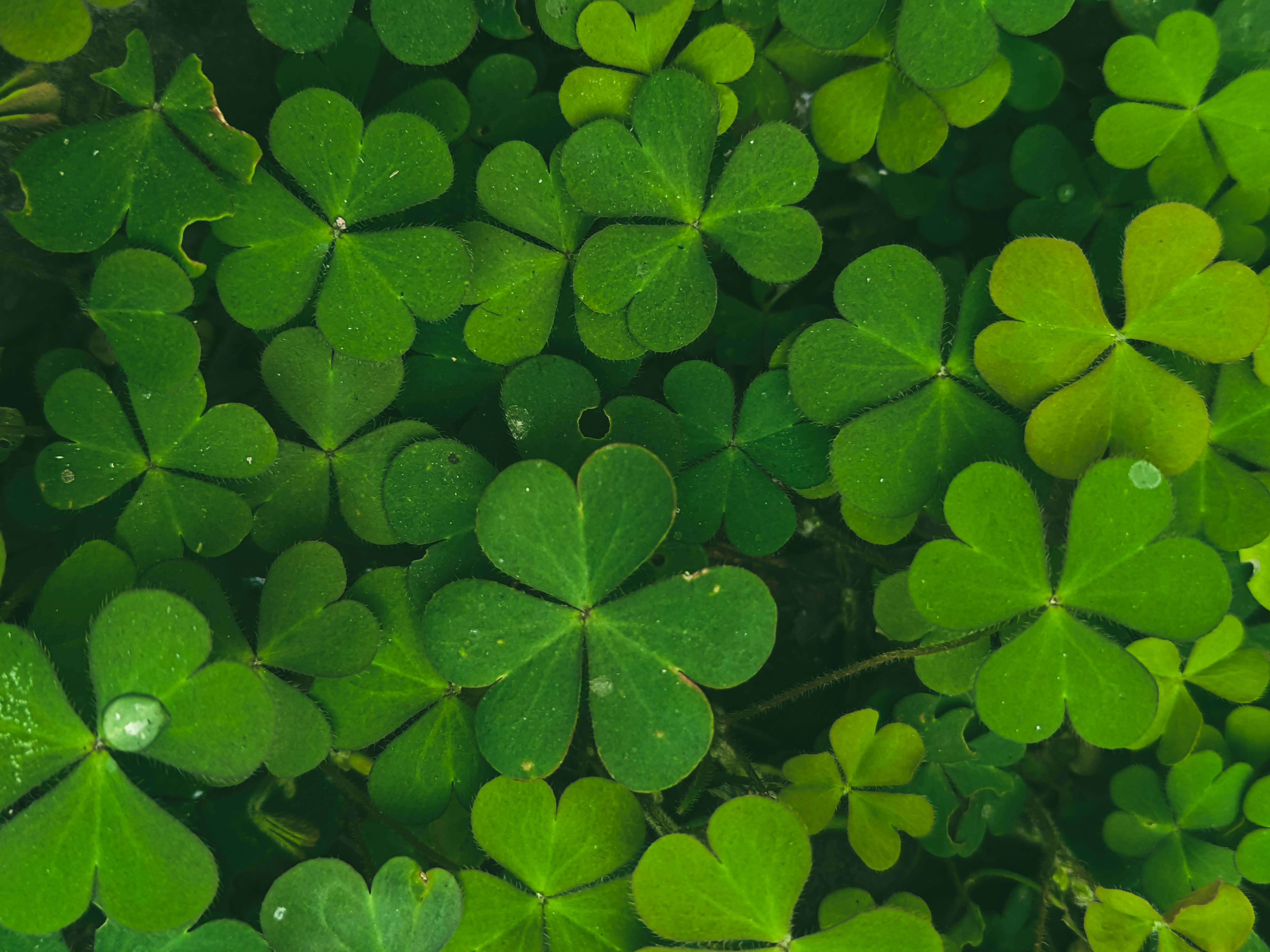 Photo by sujaypaulsp