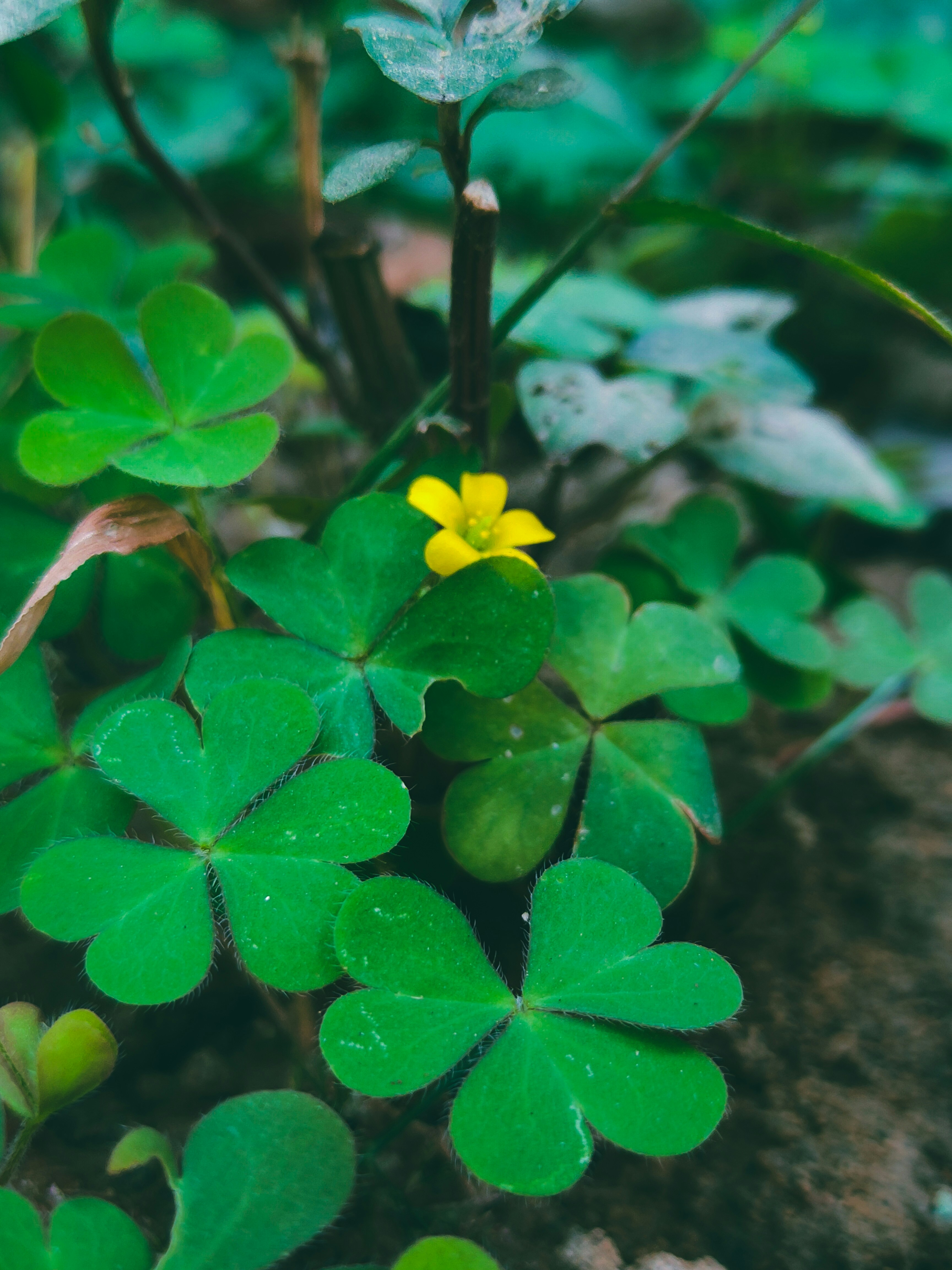 Photo by sujaypaulsp