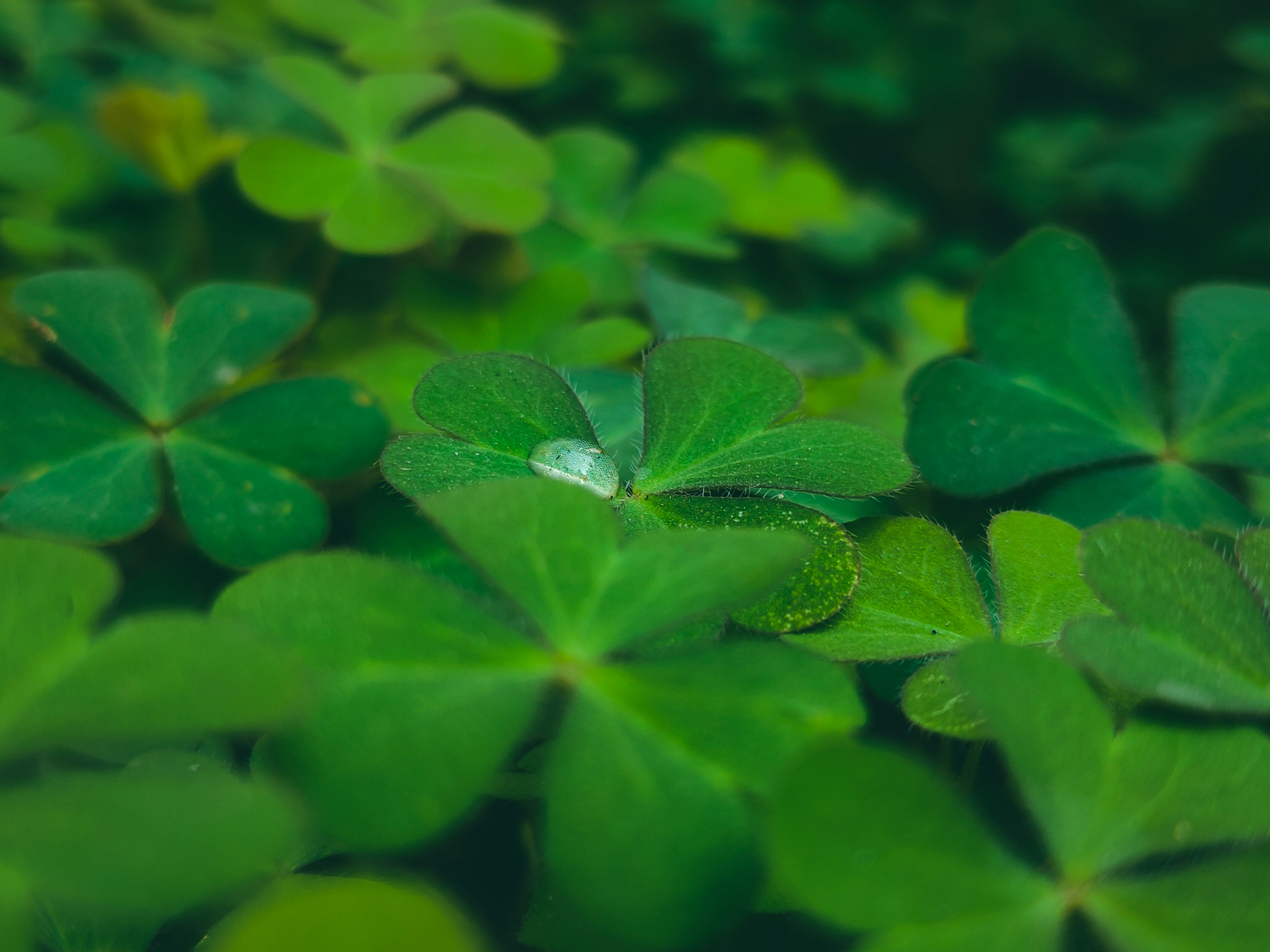 Photo by sujaypaulsp