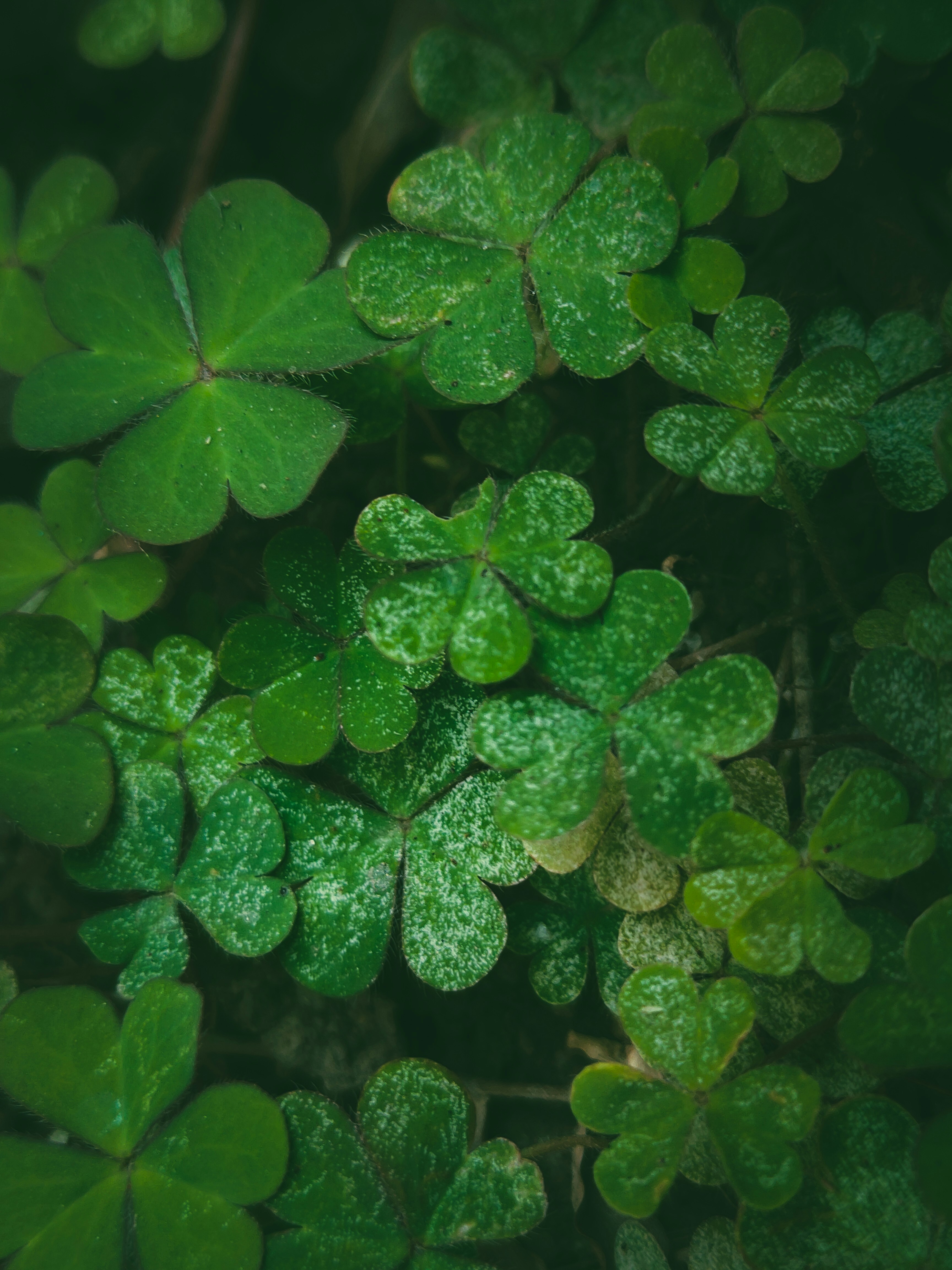 Photo by sujaypaulsp