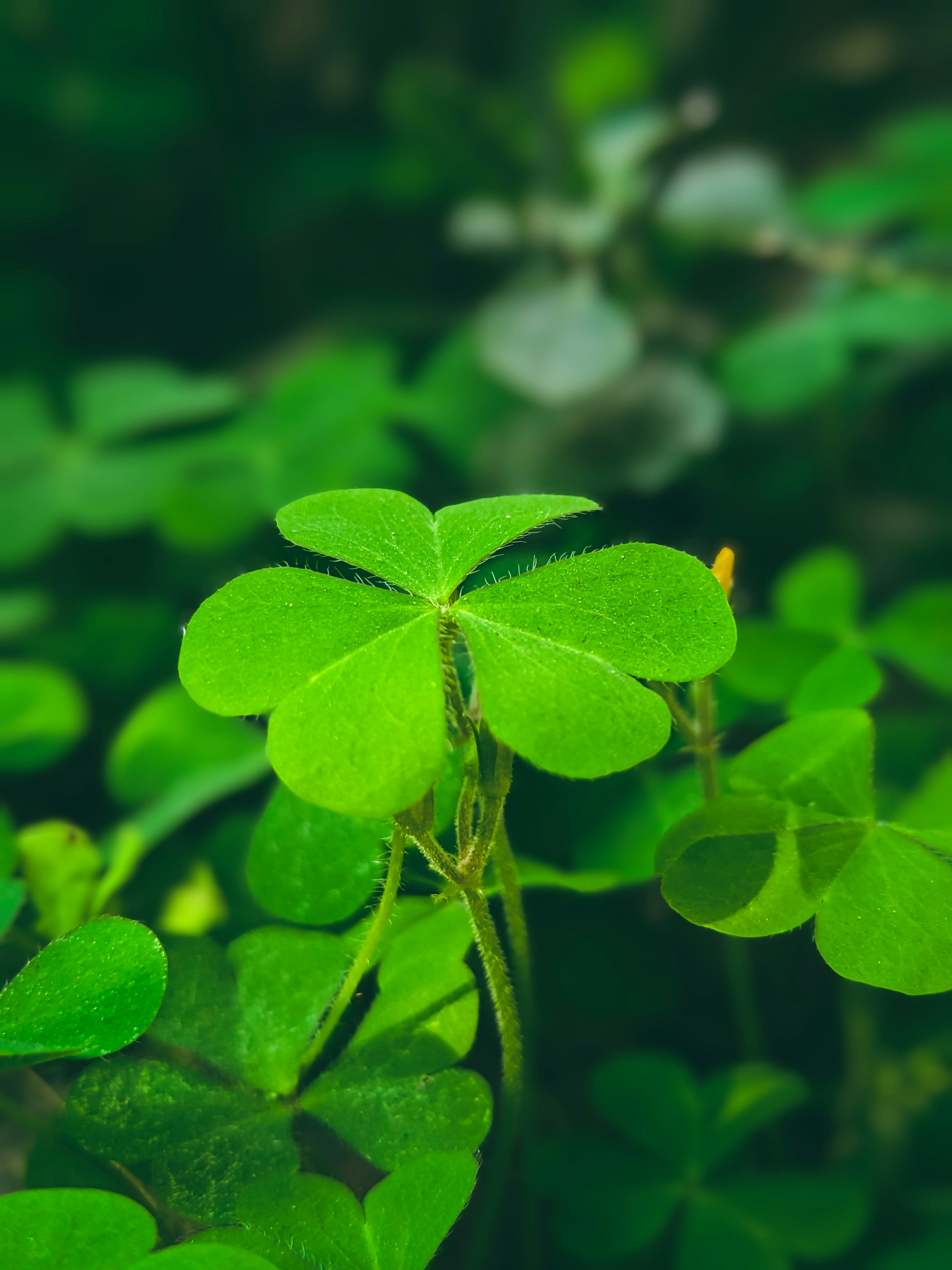 Photo by sujaypaulsp