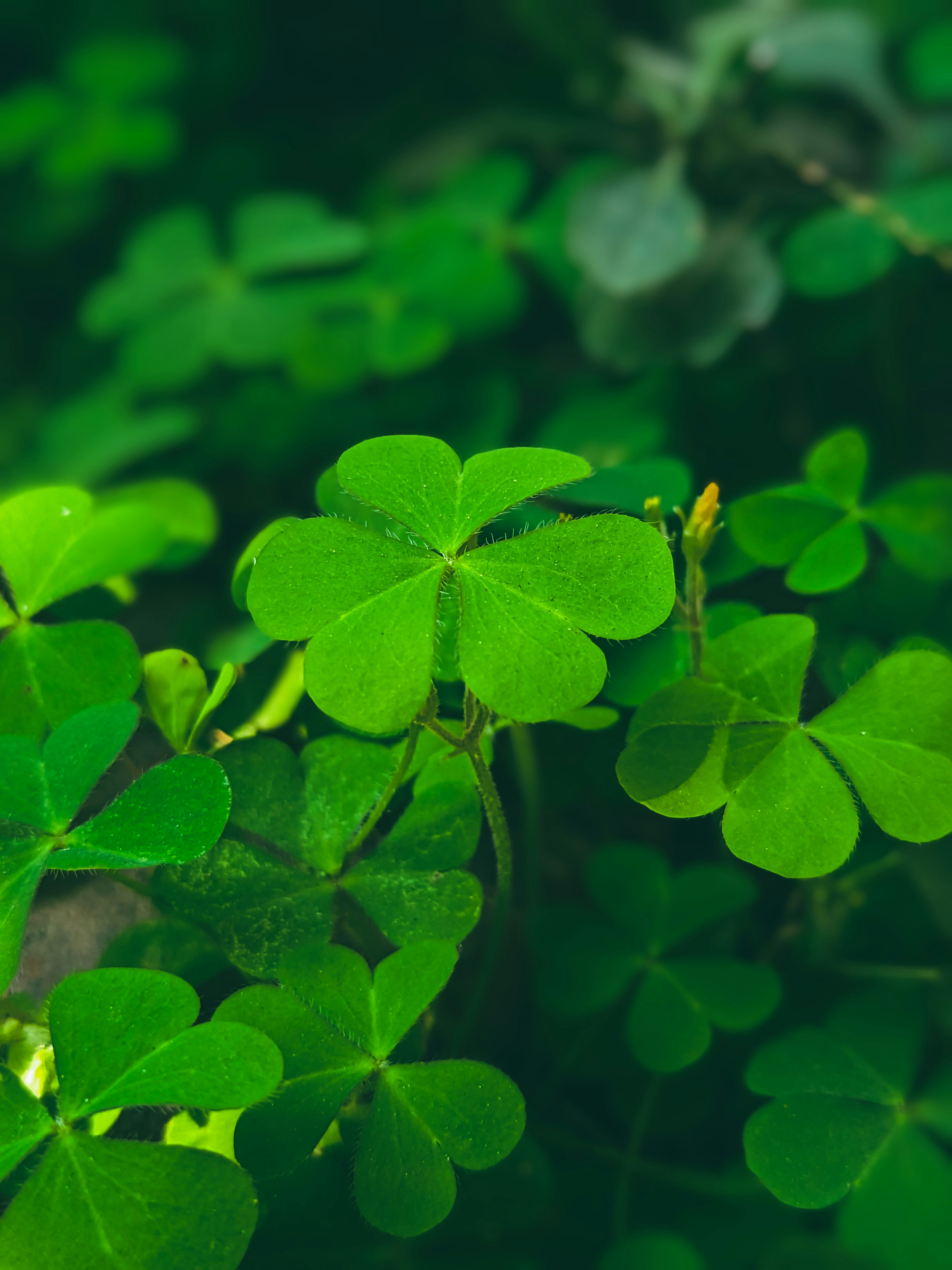 Photo by sujaypaulsp