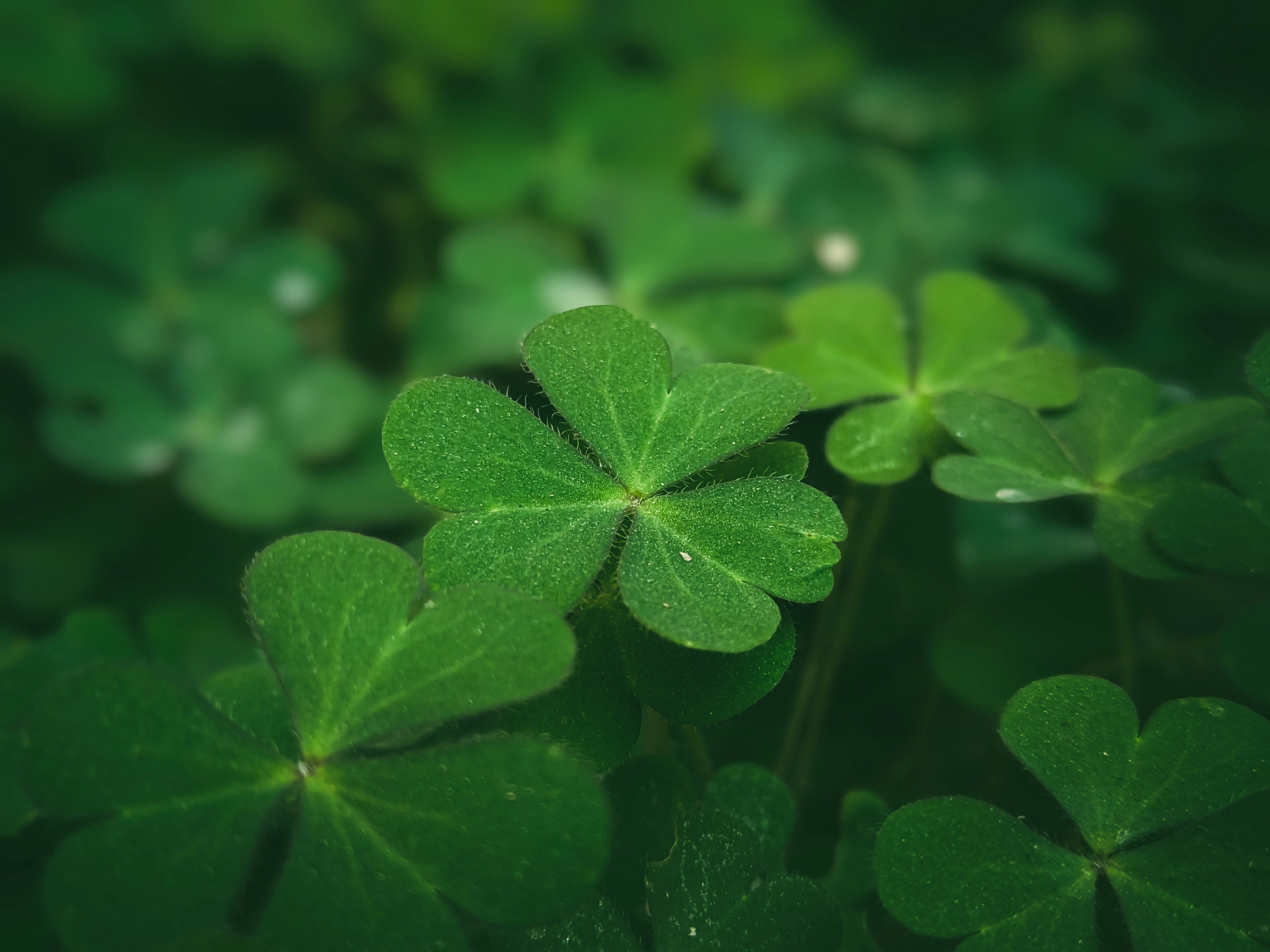 Photo by sujaypaulsp