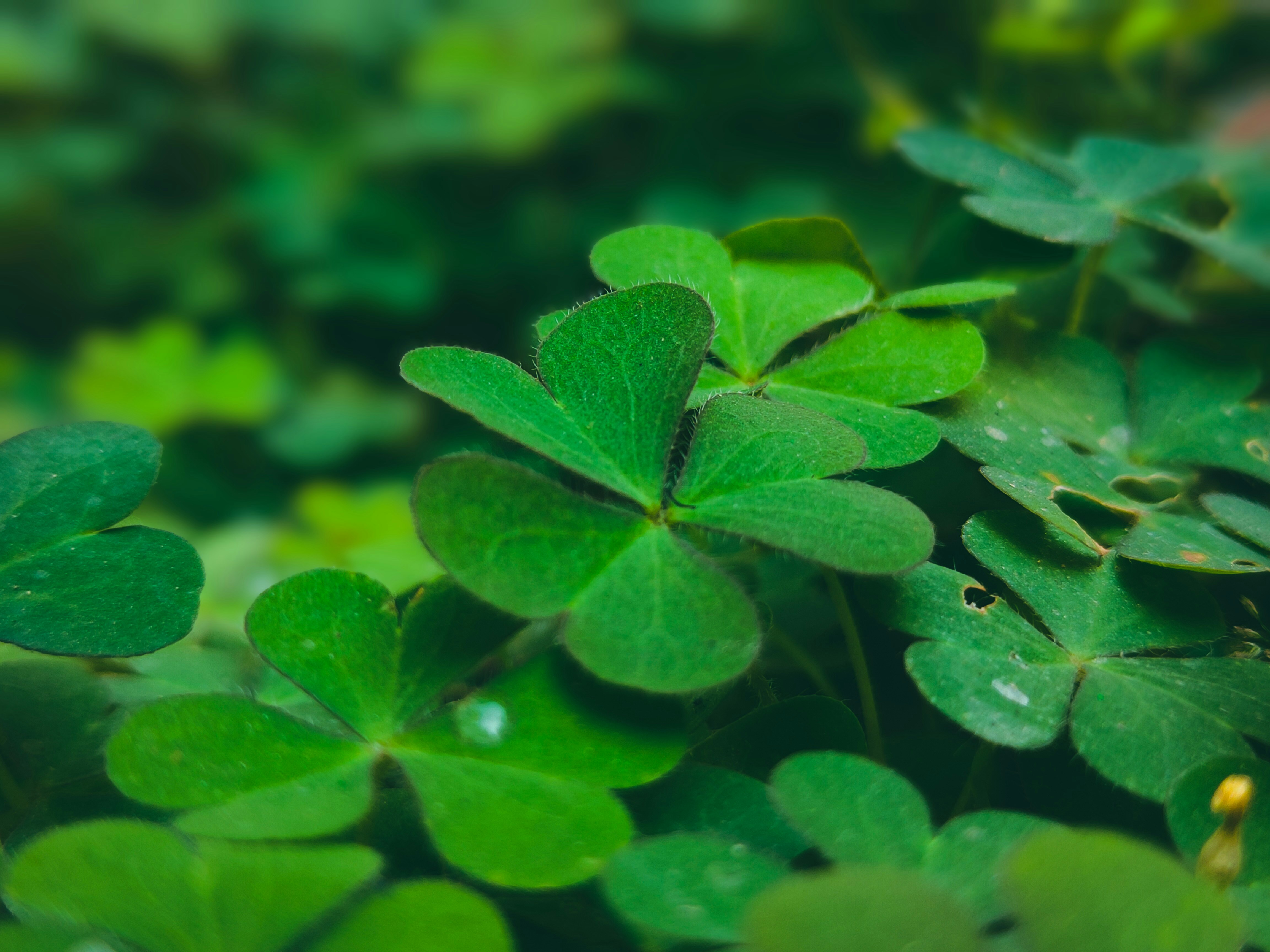 Photo by sujaypaulsp