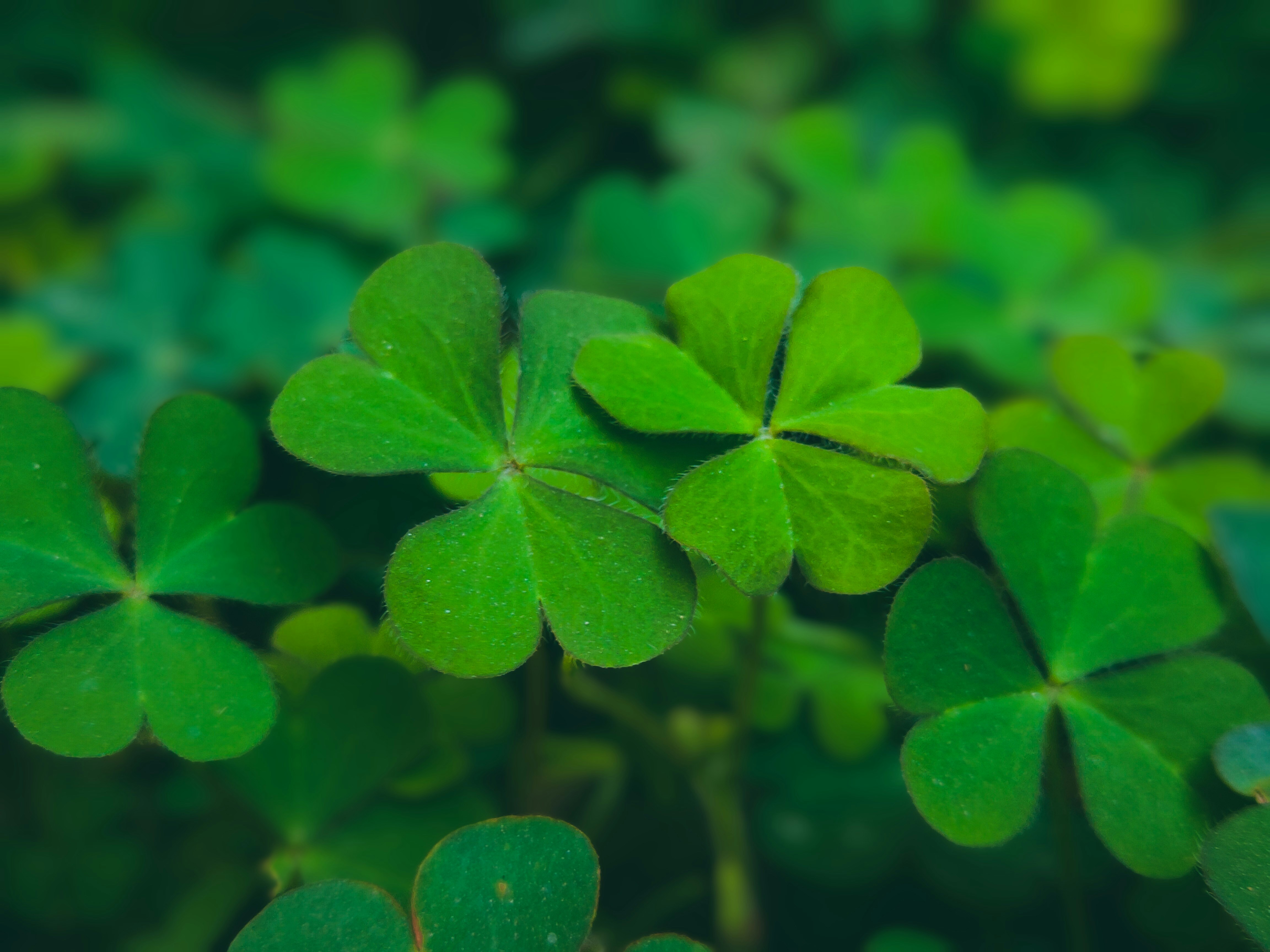 Photo by sujaypaulsp