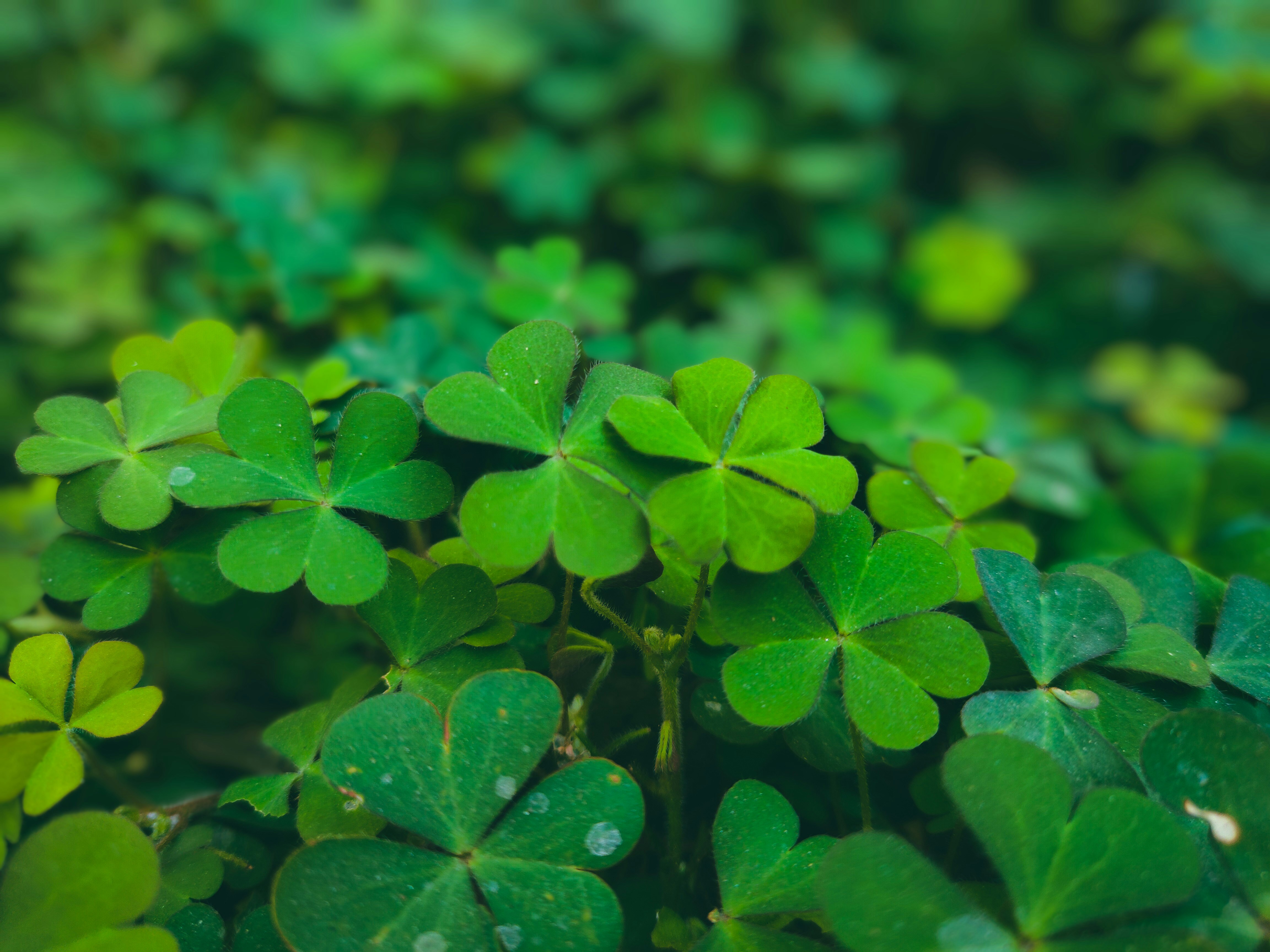 Photo by sujaypaulsp