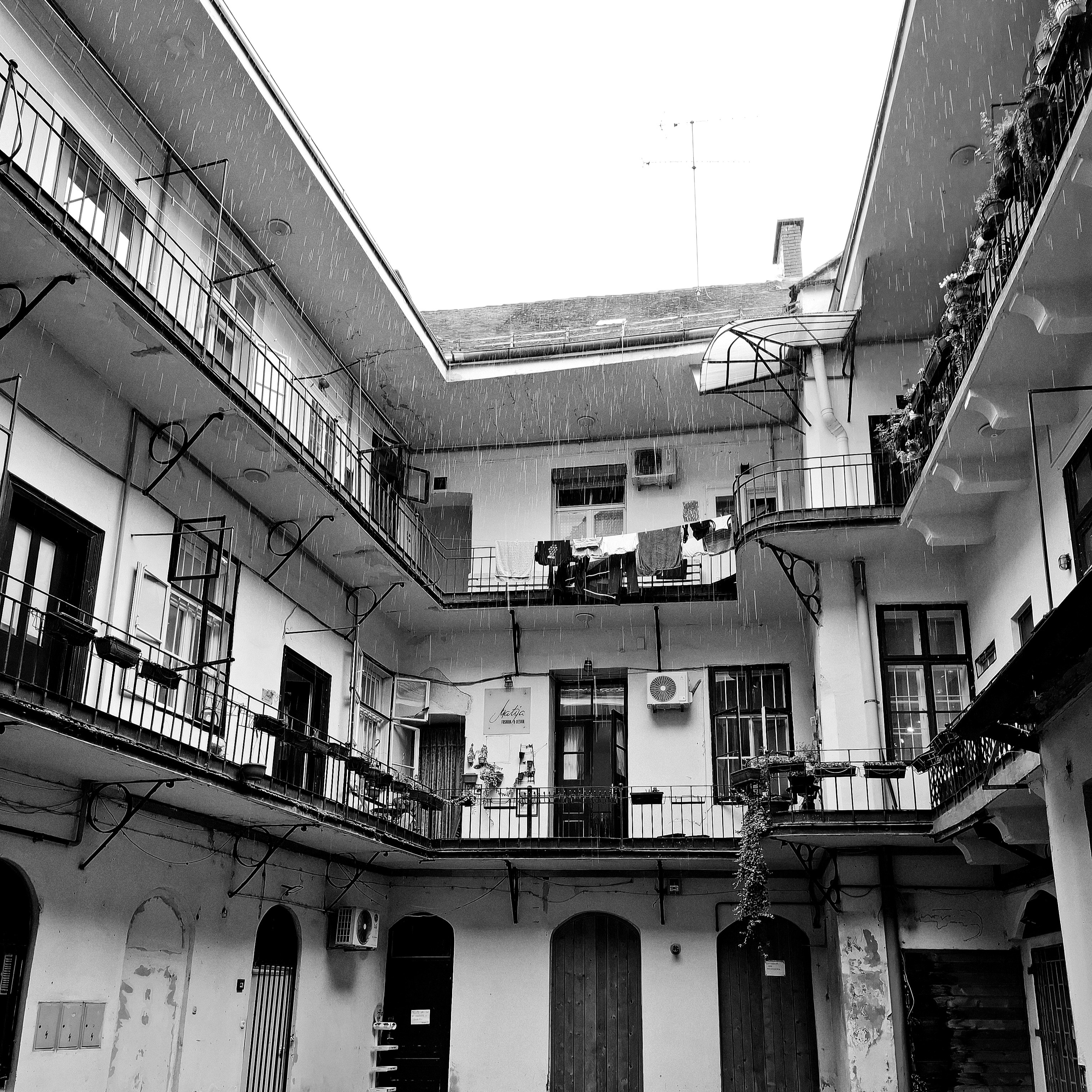 Photo by dominapetric