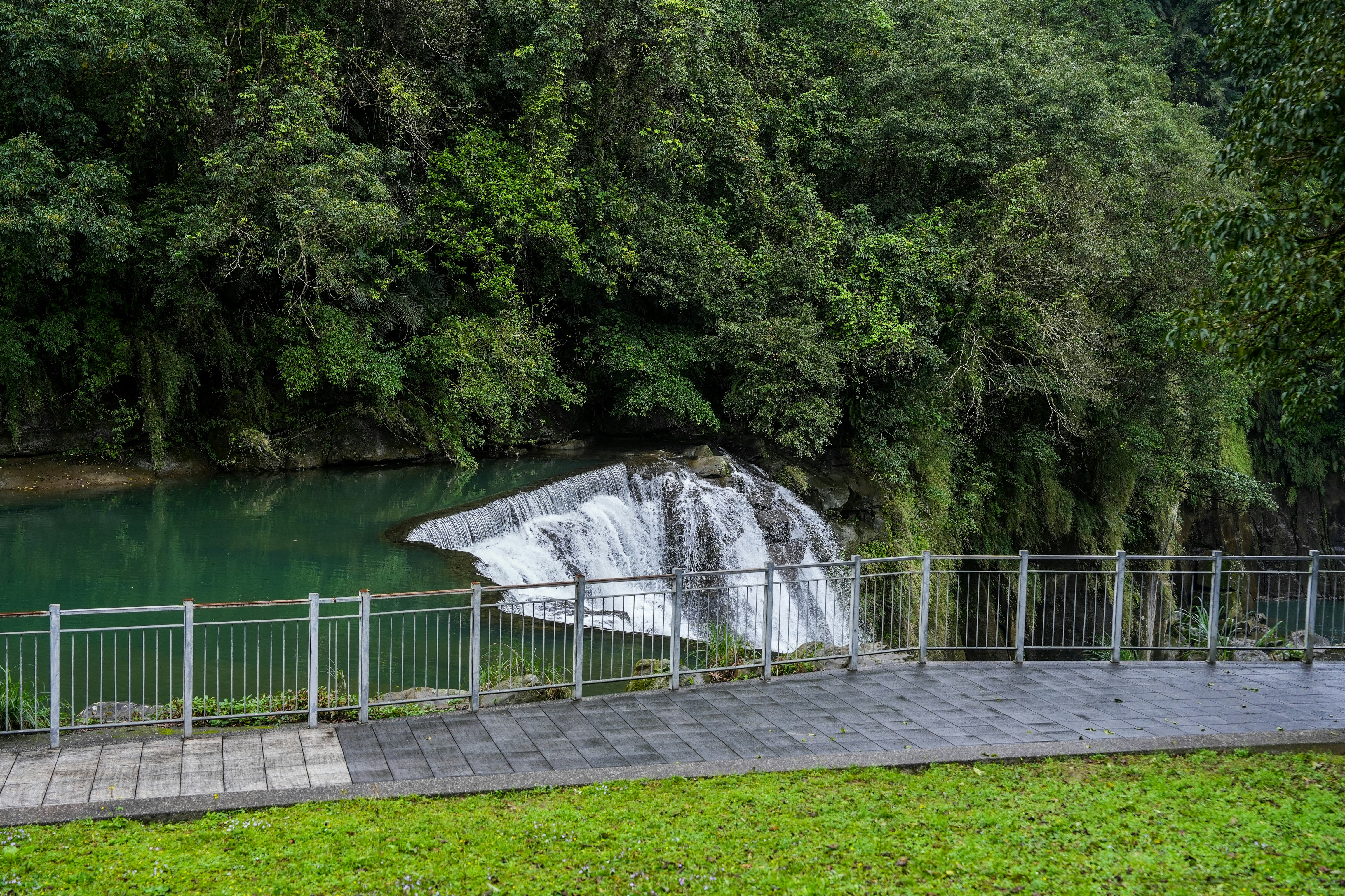 A waterfall flows into a calm, green pond.