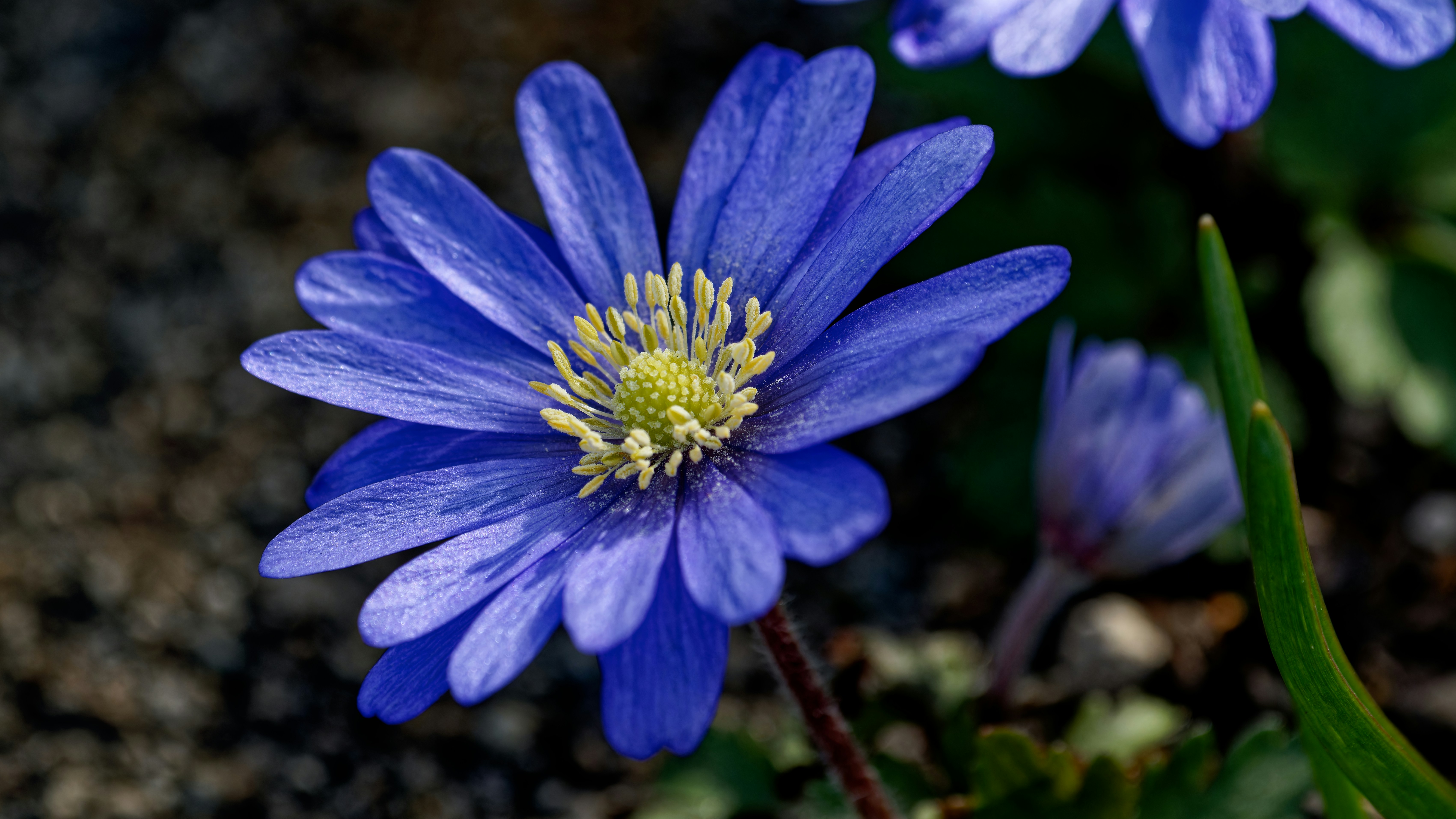 Photo by patrickbigelow_zoom_in