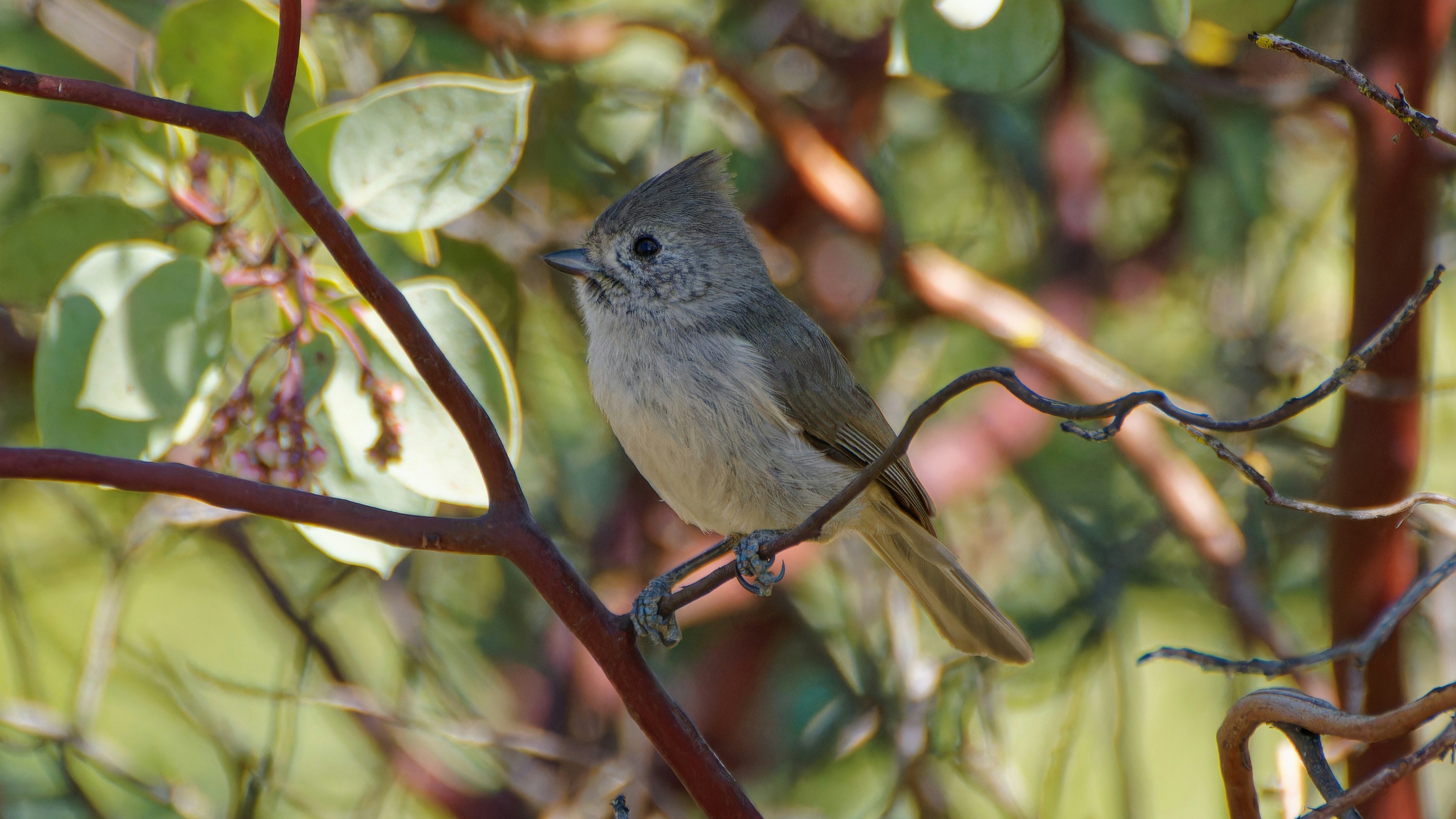 Photo by patrickbigelow_zoom_in