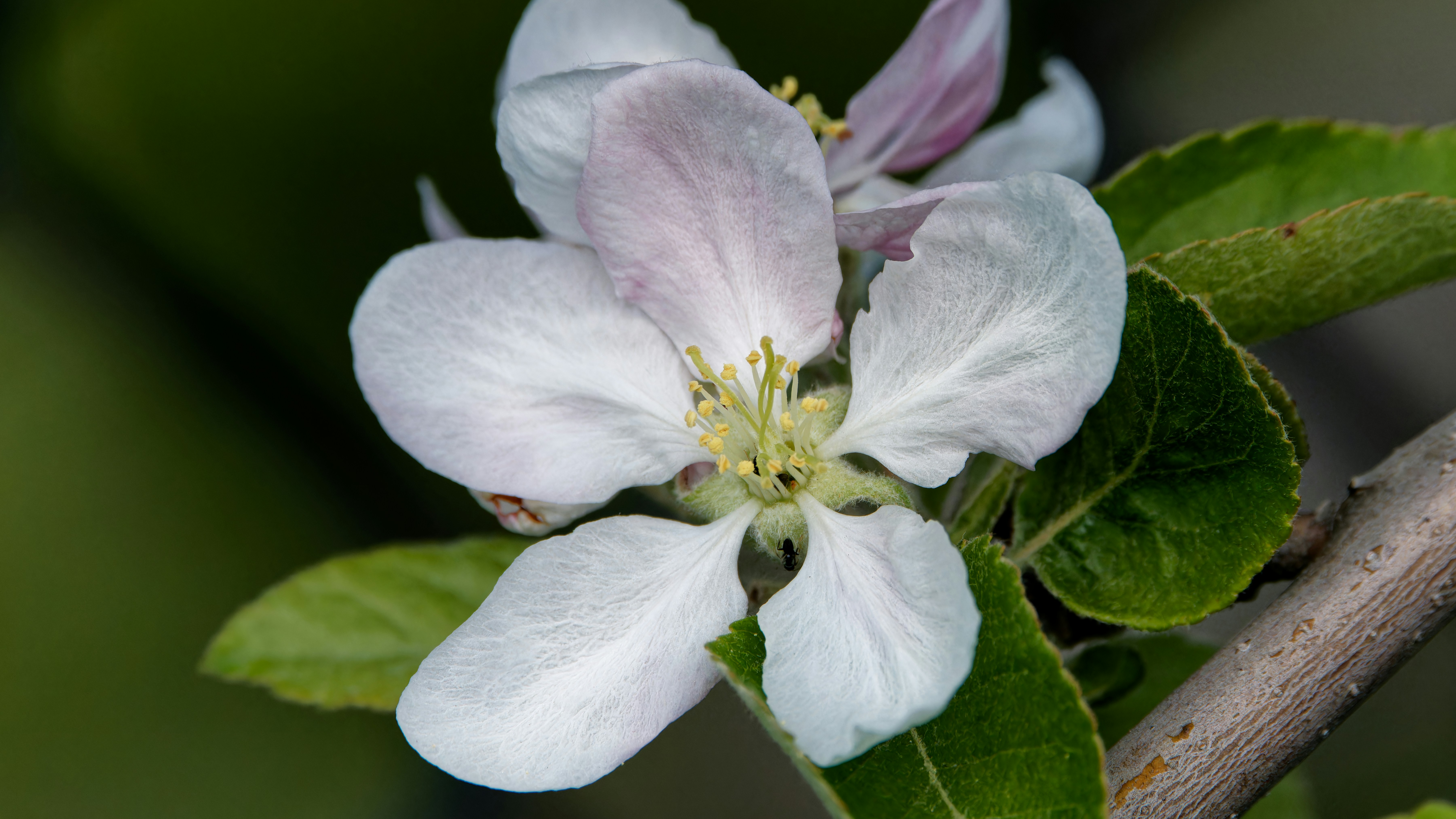 Photo by patrickbigelow_zoom_in