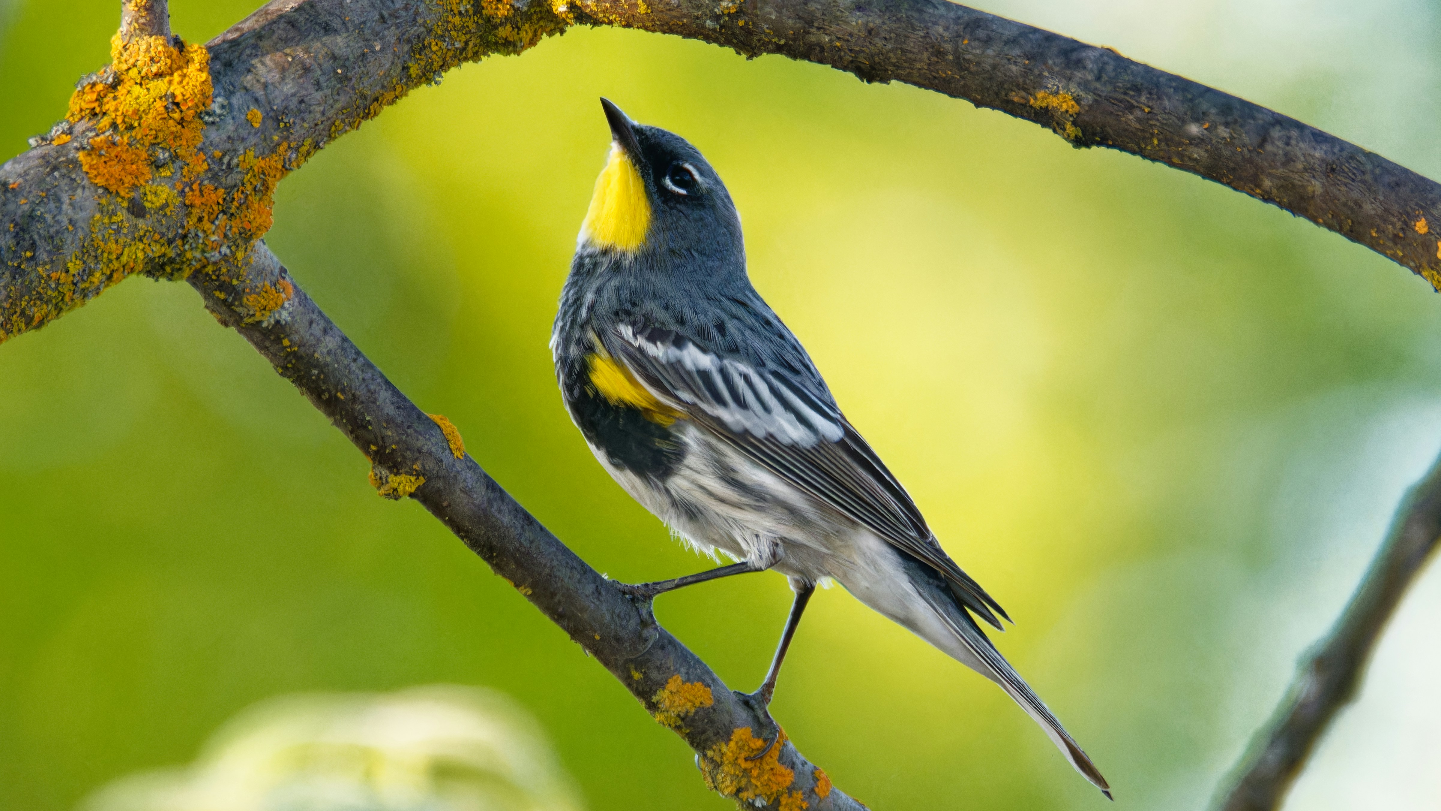 Photo by patrickbigelow_zoom_in