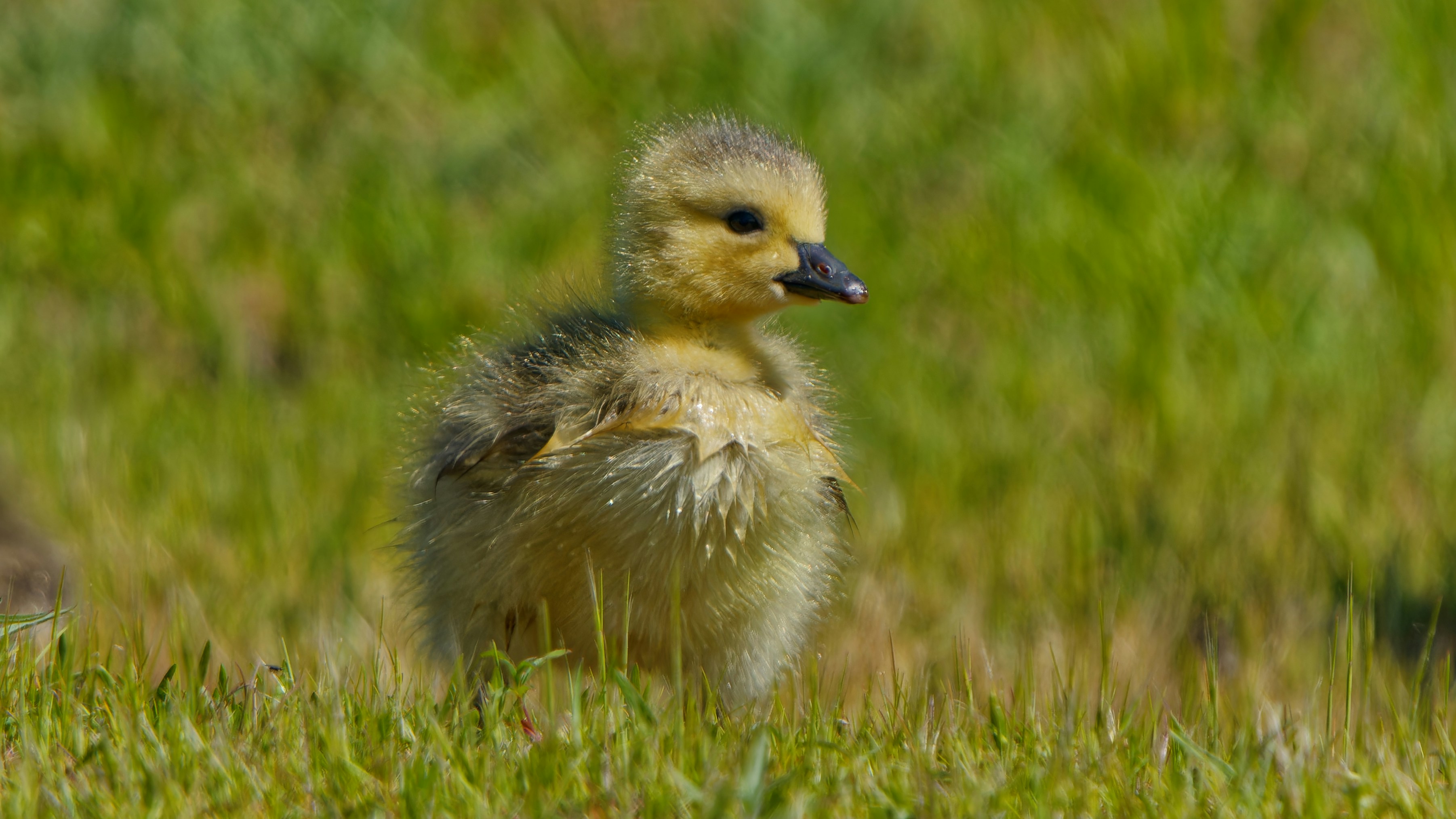 Photo by patrickbigelow_zoom_in