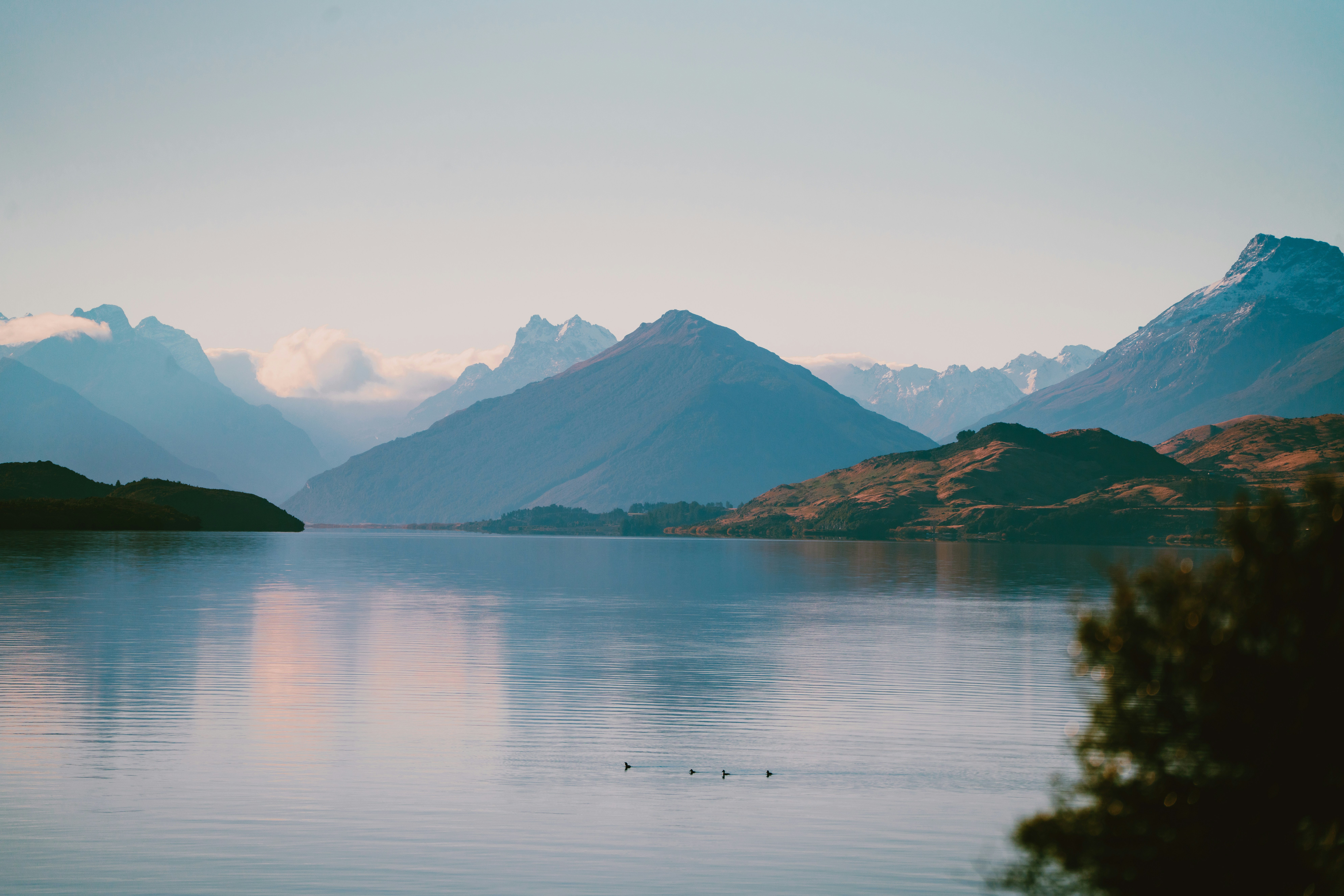 Photo by anthonygomez