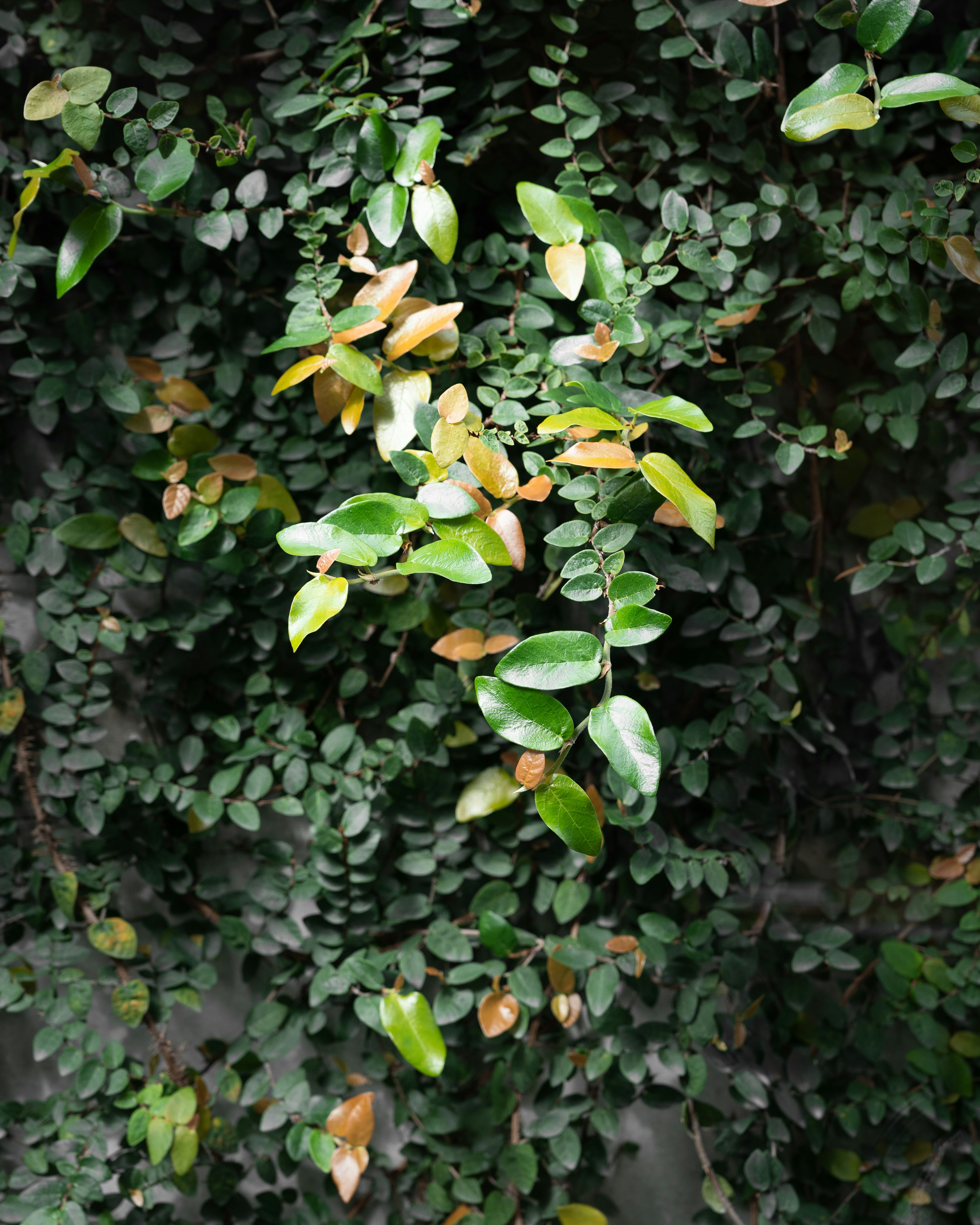 Photo by harrisonchang