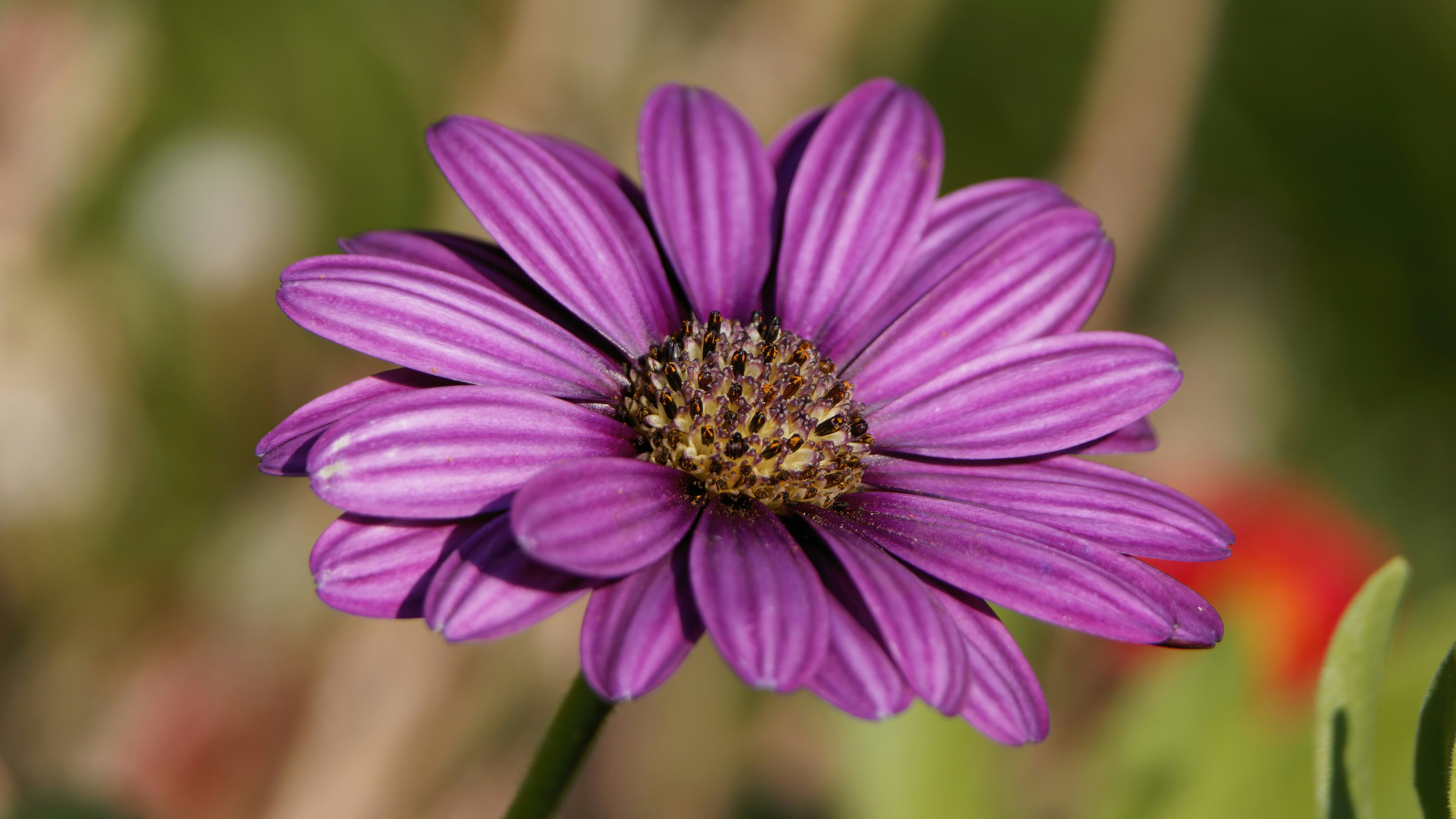 Photo by patrickbigelow_zoom_in