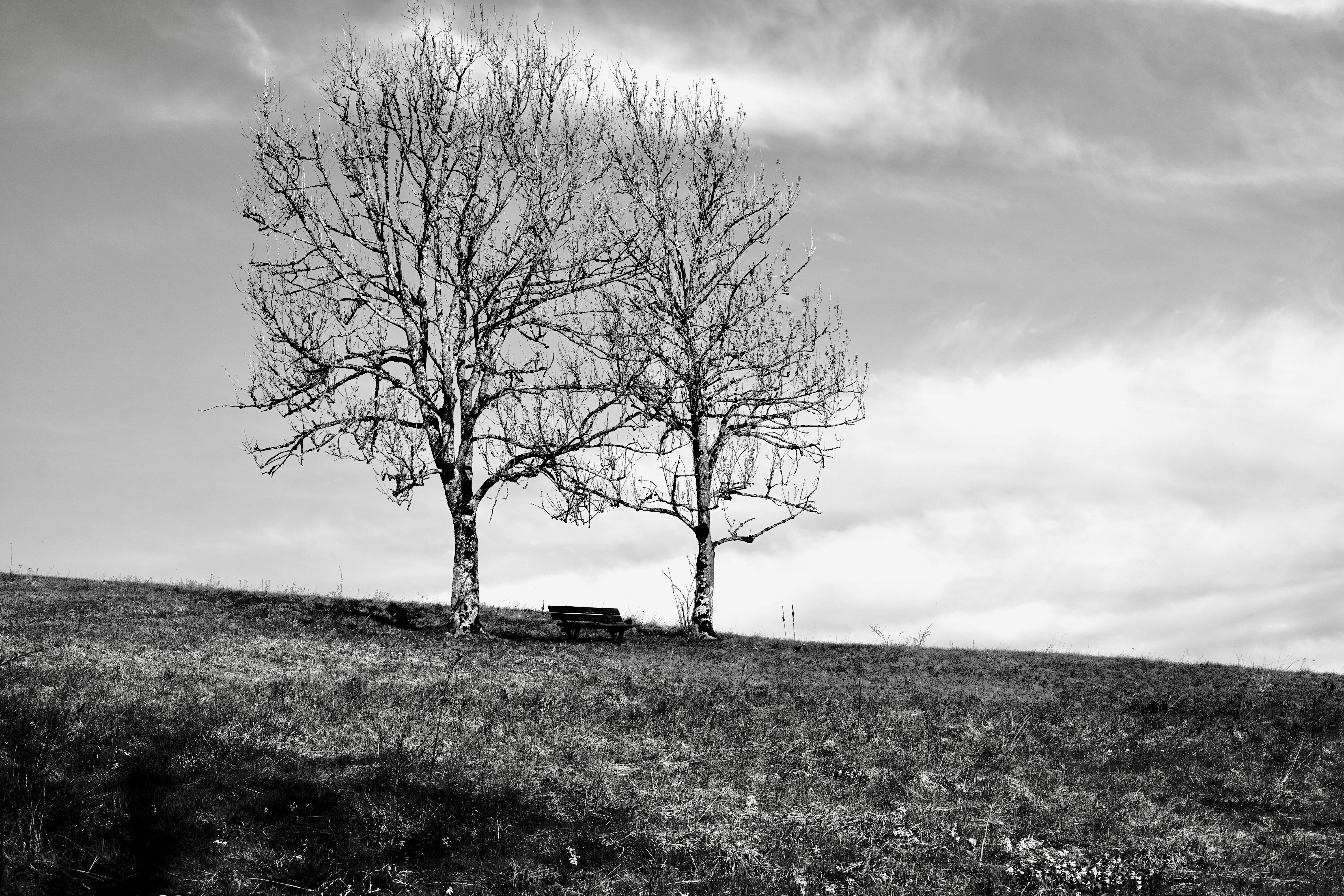 Photo by loloscott78