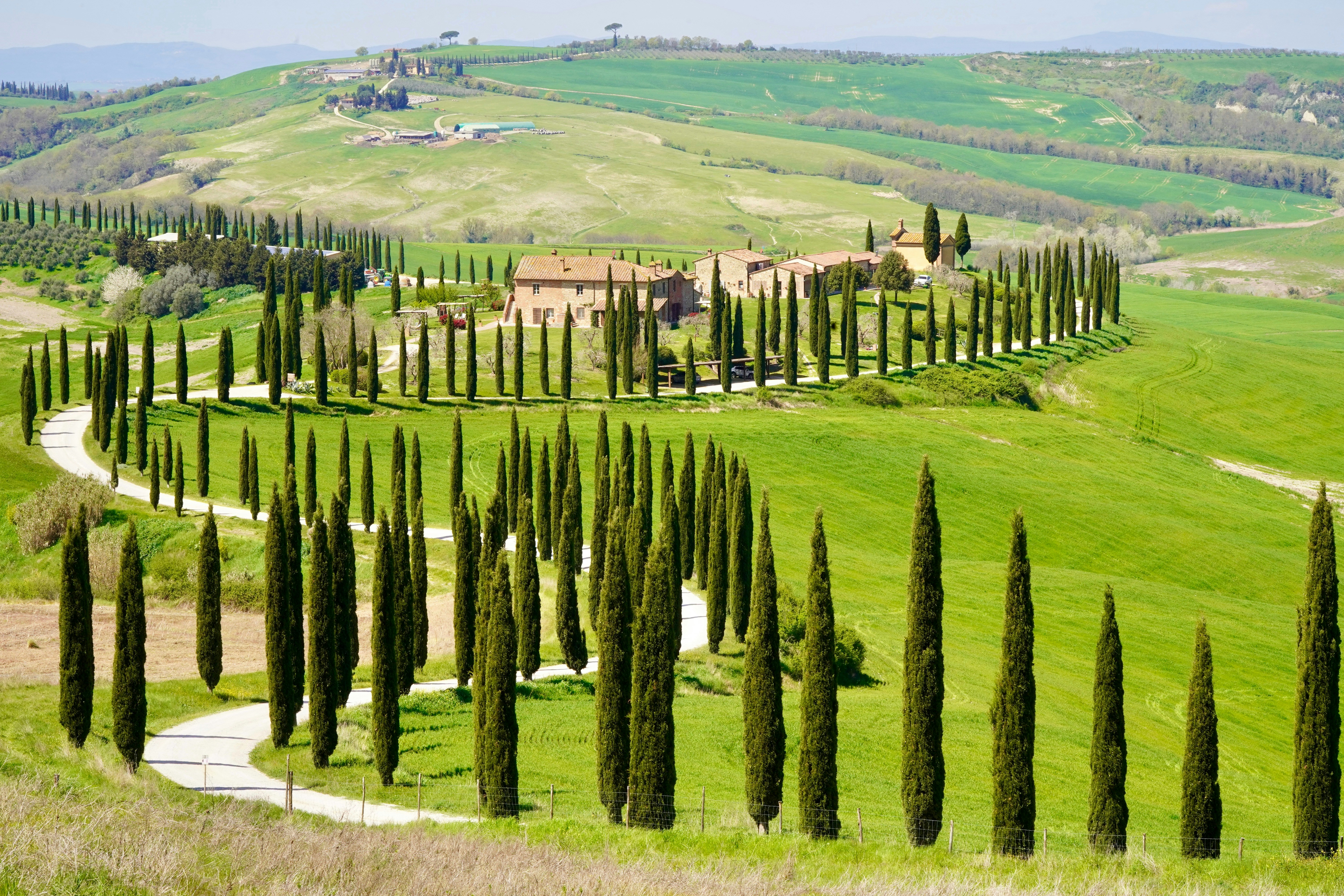 A winding road lined with trees.