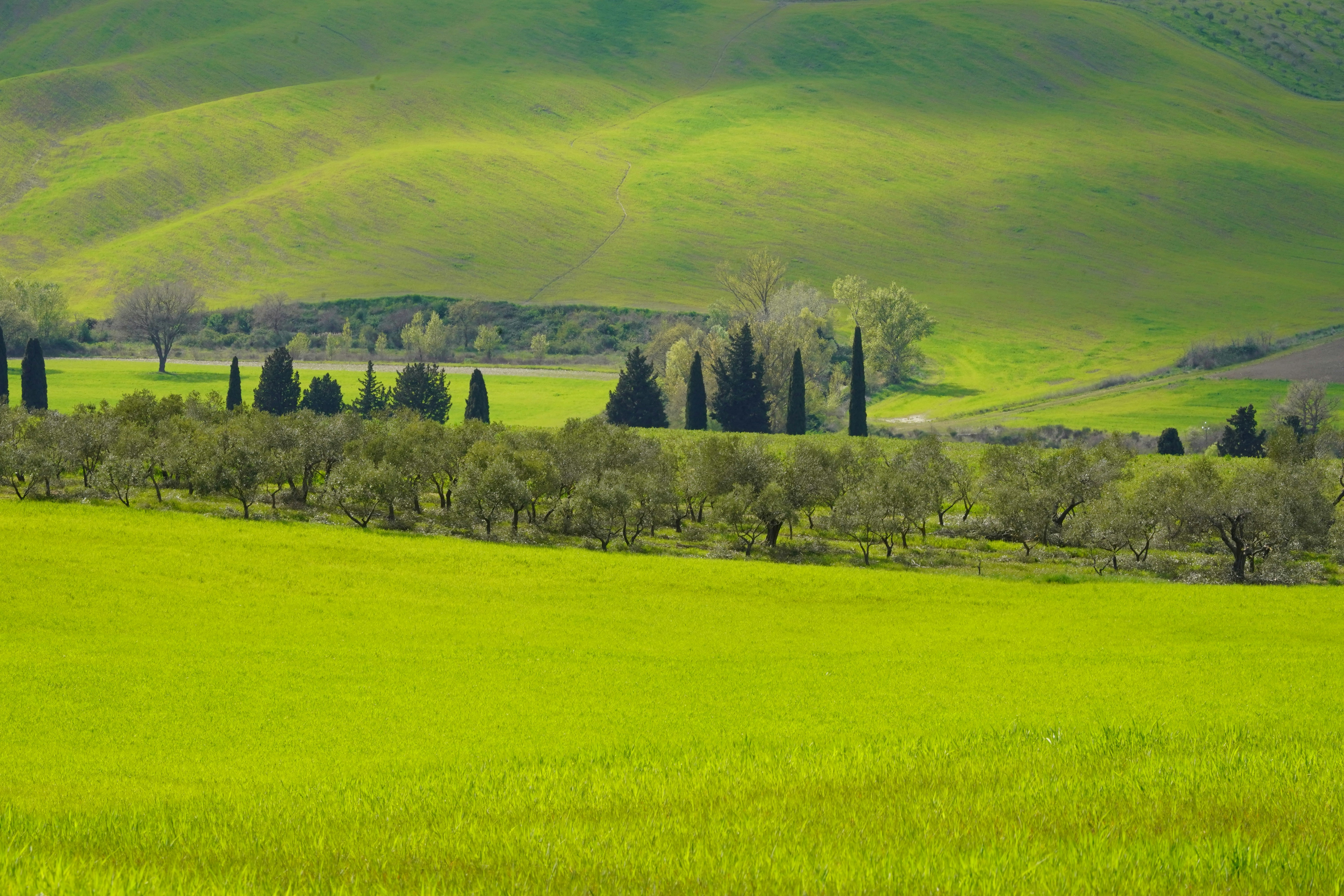 Photo by loloscott78