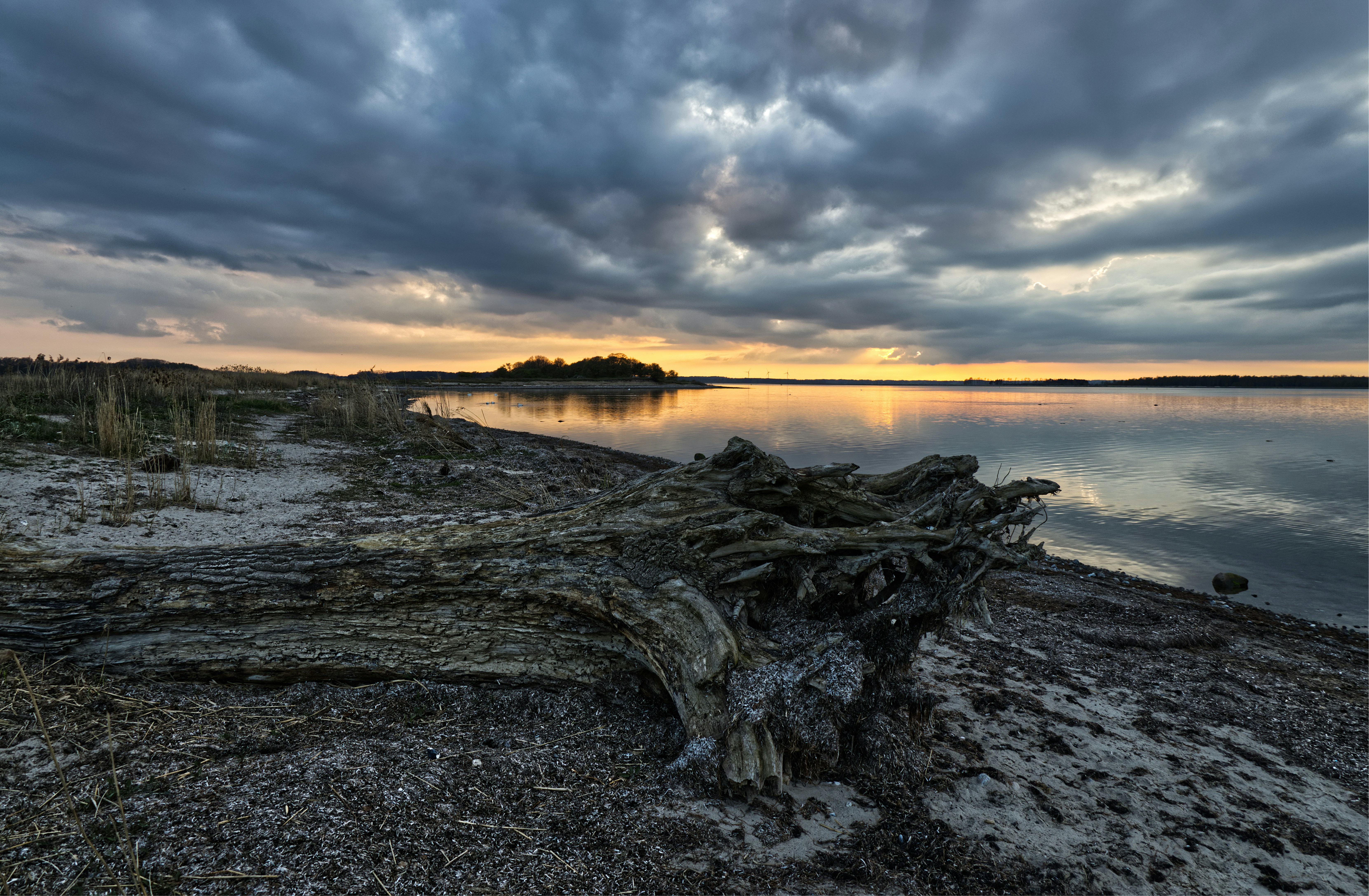 Photo by henrik_hansen