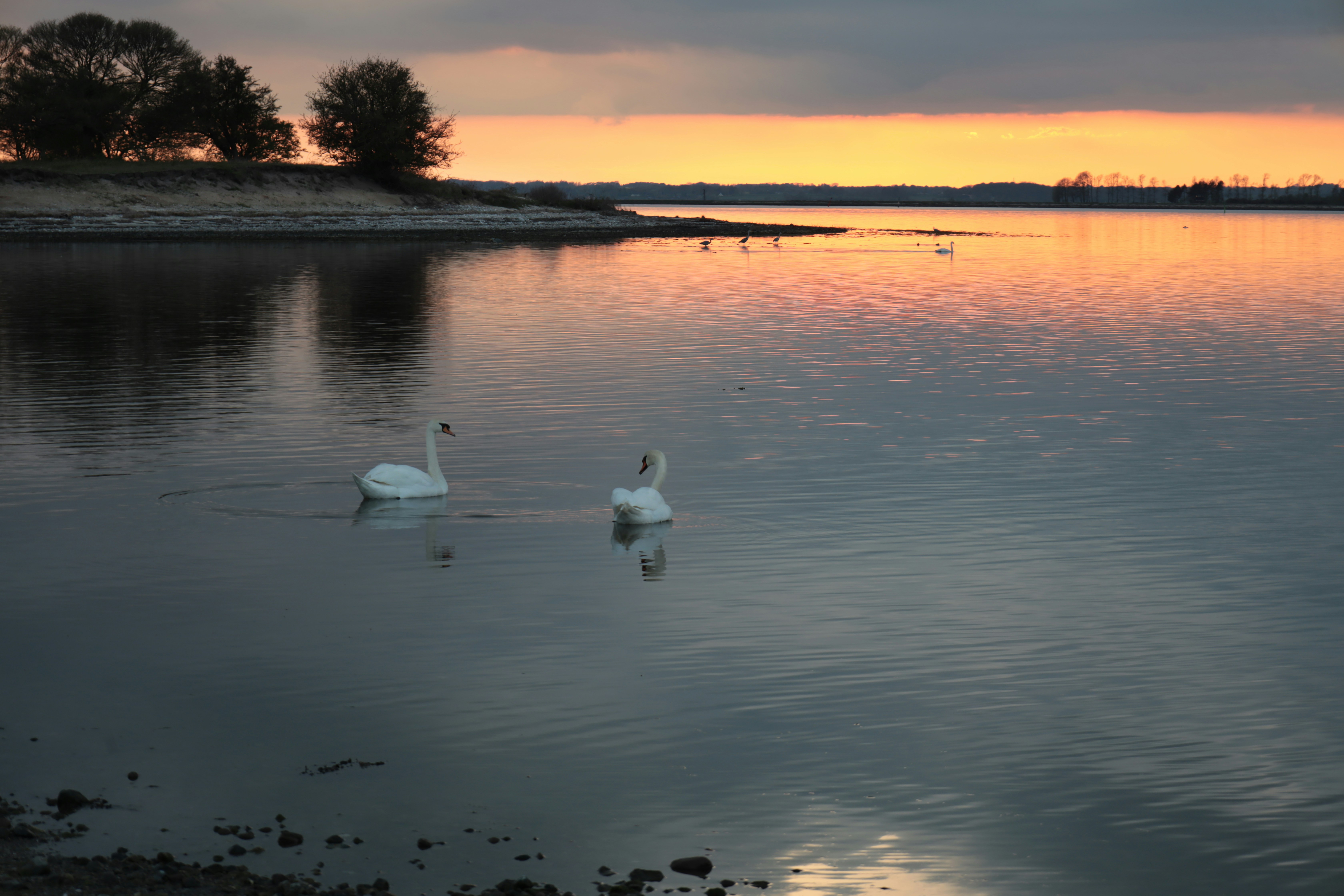 Photo by henrik_hansen