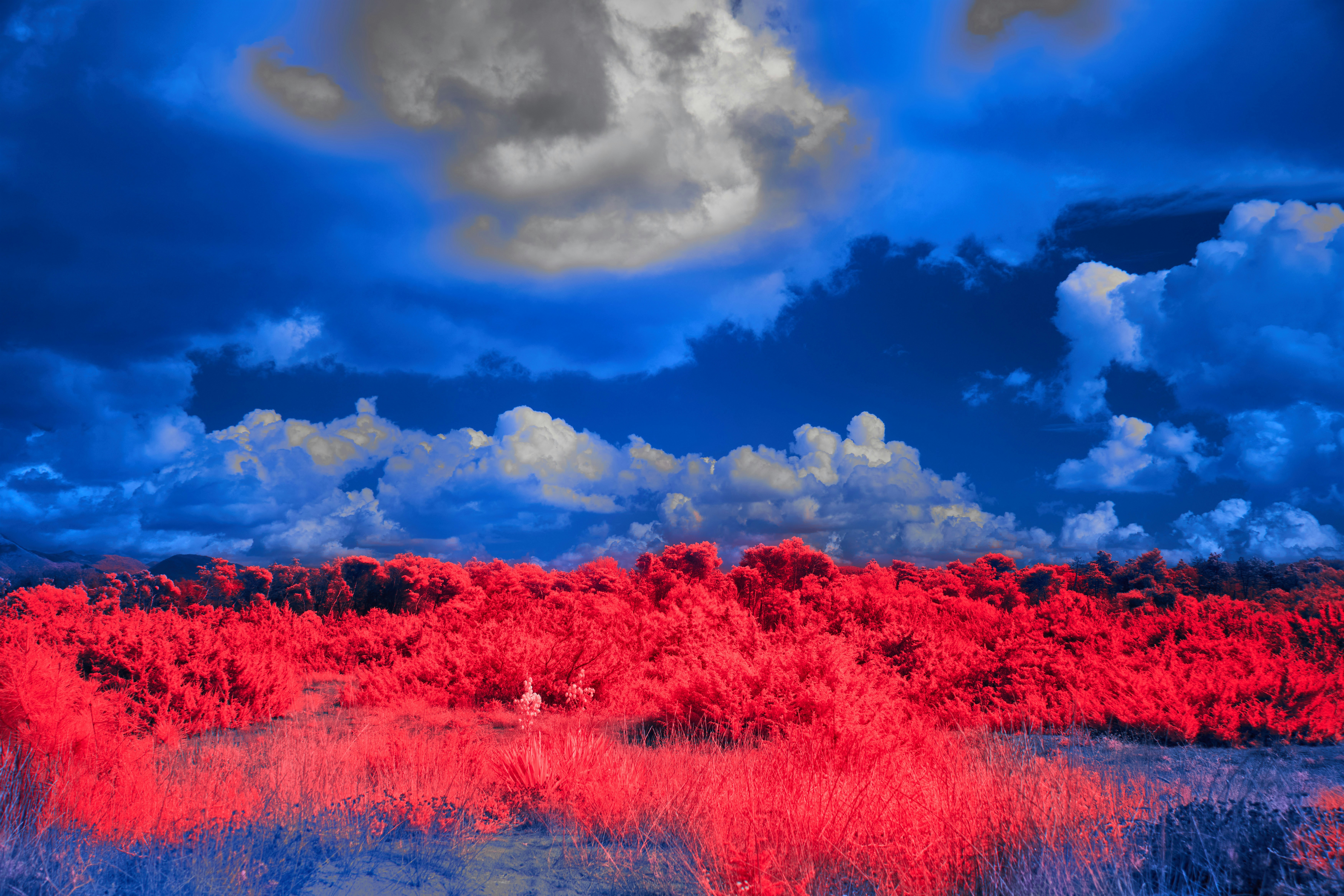 Photo by wolfgang_hasselmann