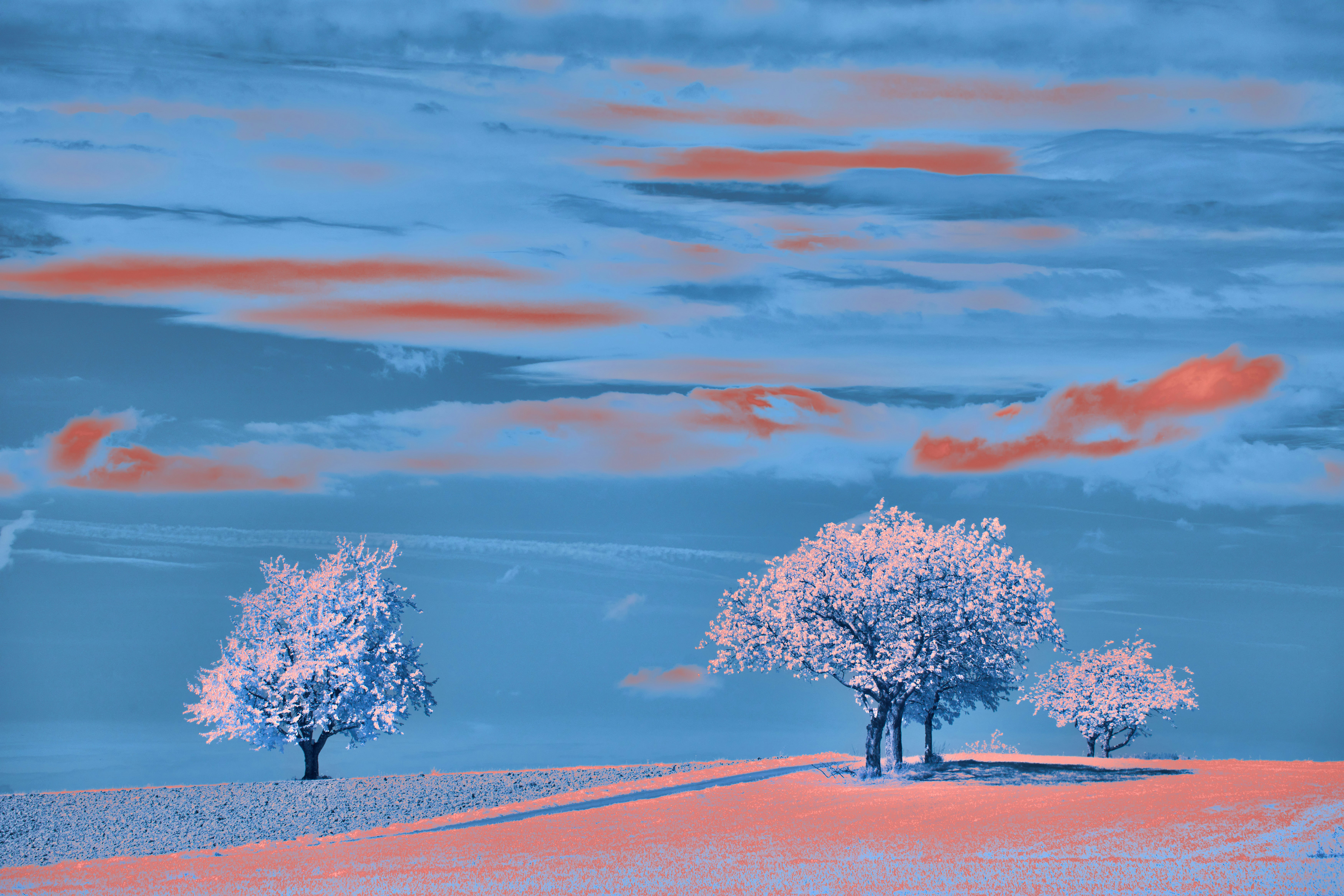 Photo by wolfgang_hasselmann