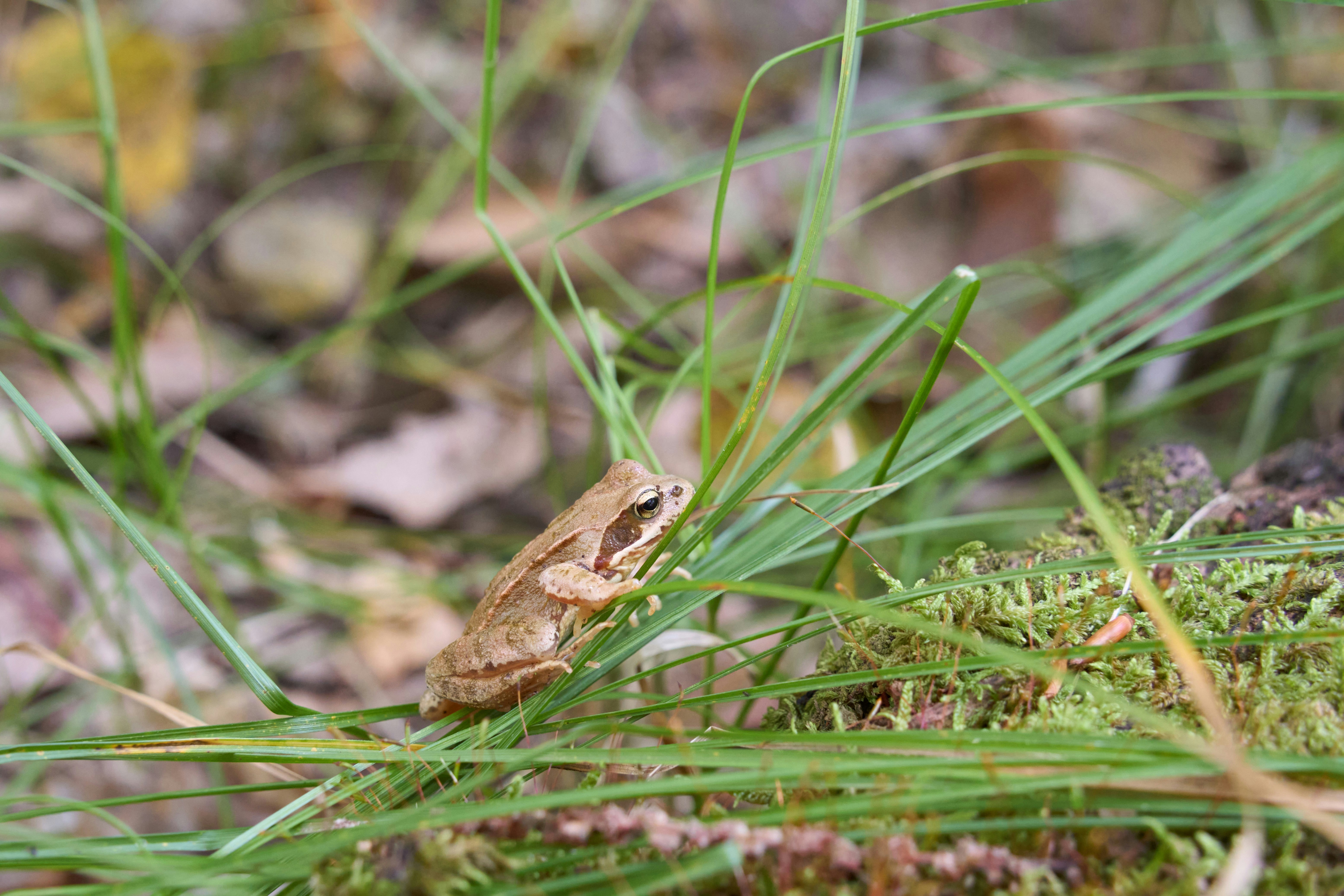 Photo by wolfgang_hasselmann