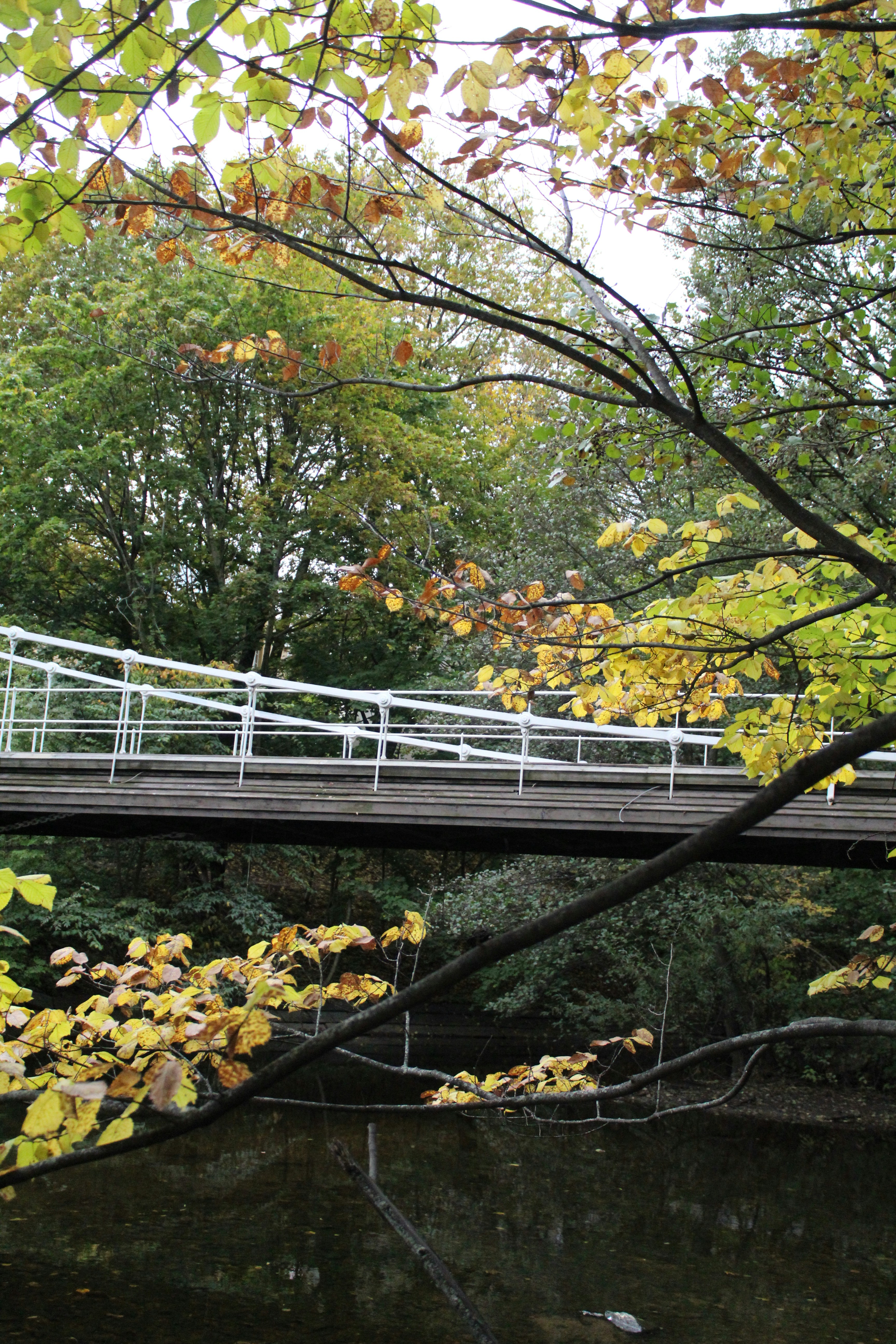 Photo by amirarsalan93