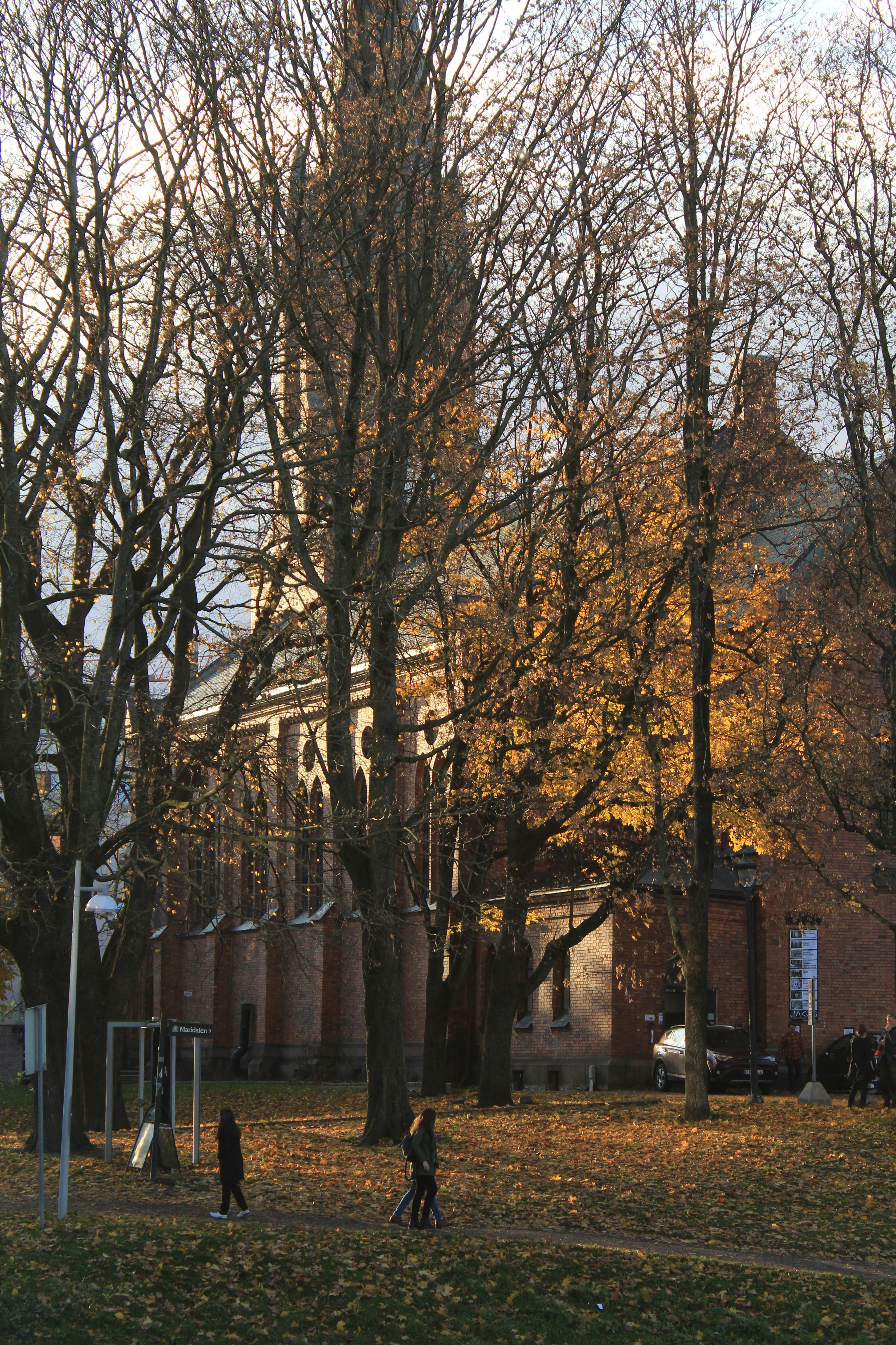 Photo by amirarsalan93